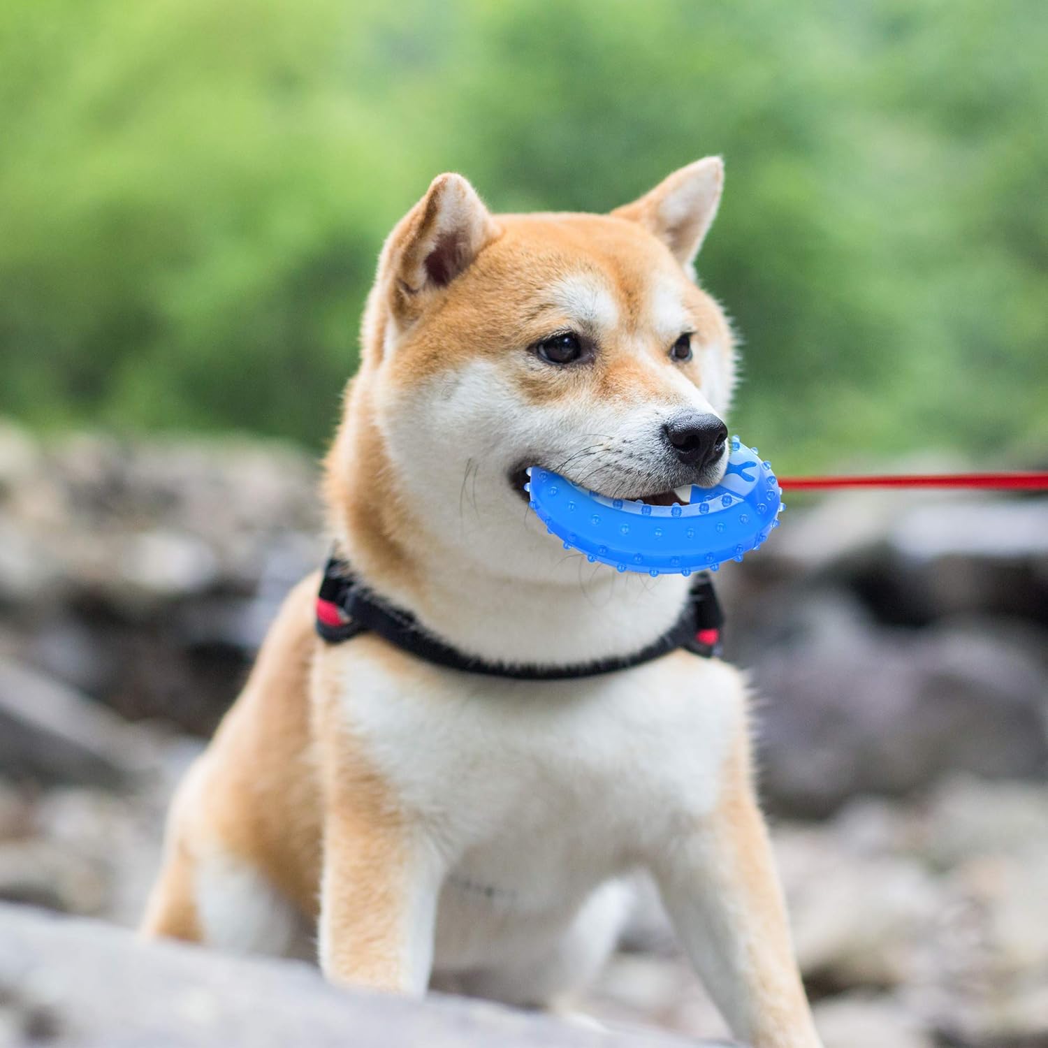 Pet Teether Cooling Chew Teething Toy For Puppies Fit With Treats