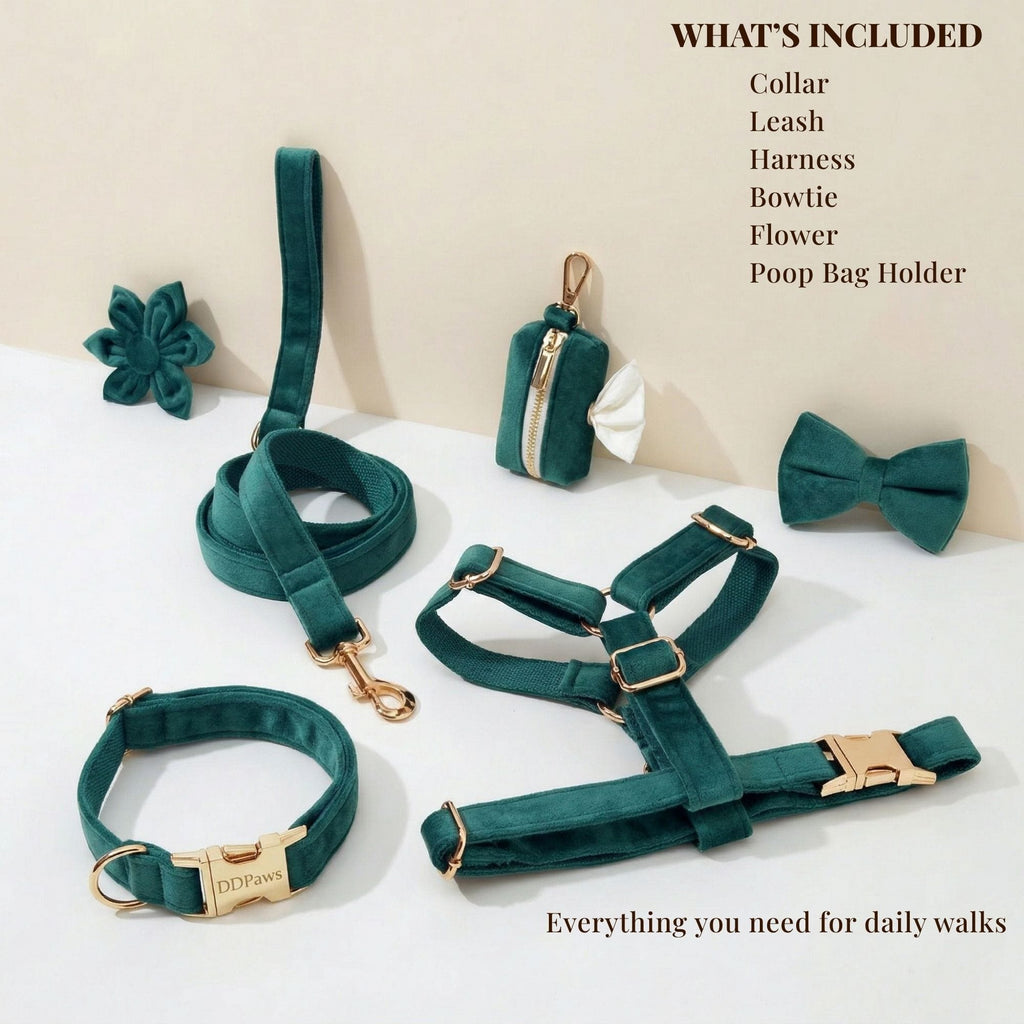 Green Velvet Set