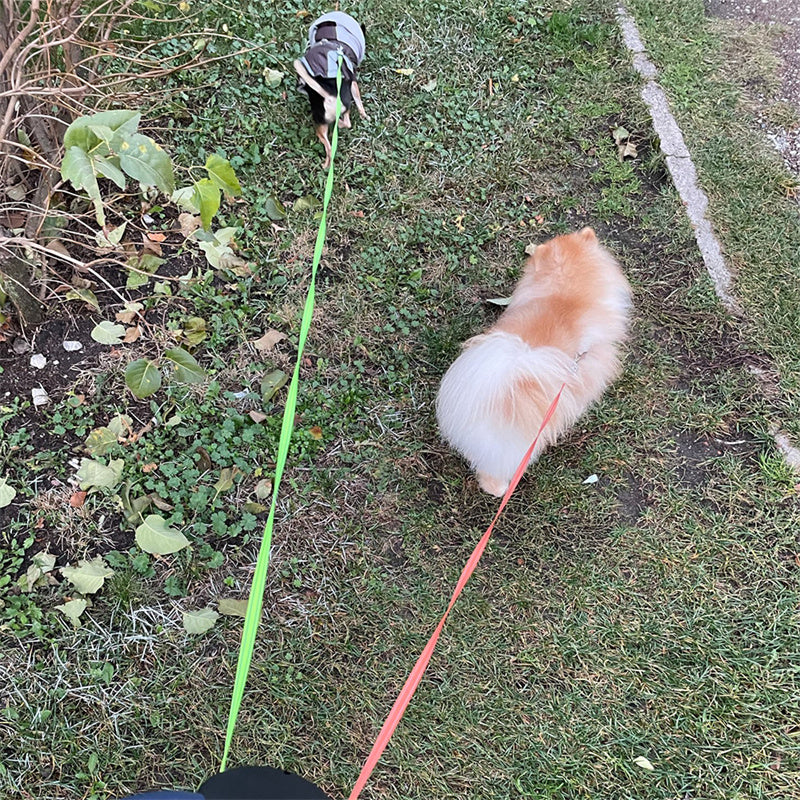 Retractable Dog Leash - Reflective Dual Pet Leash Lead 360 Swivel W/Lights