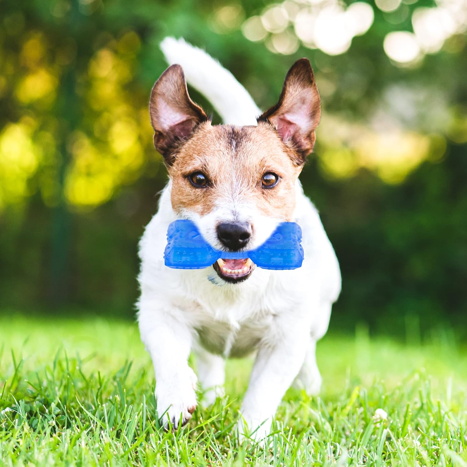 Pet Teether Cooling Chew Teething Toy For Puppies Fit With Treats