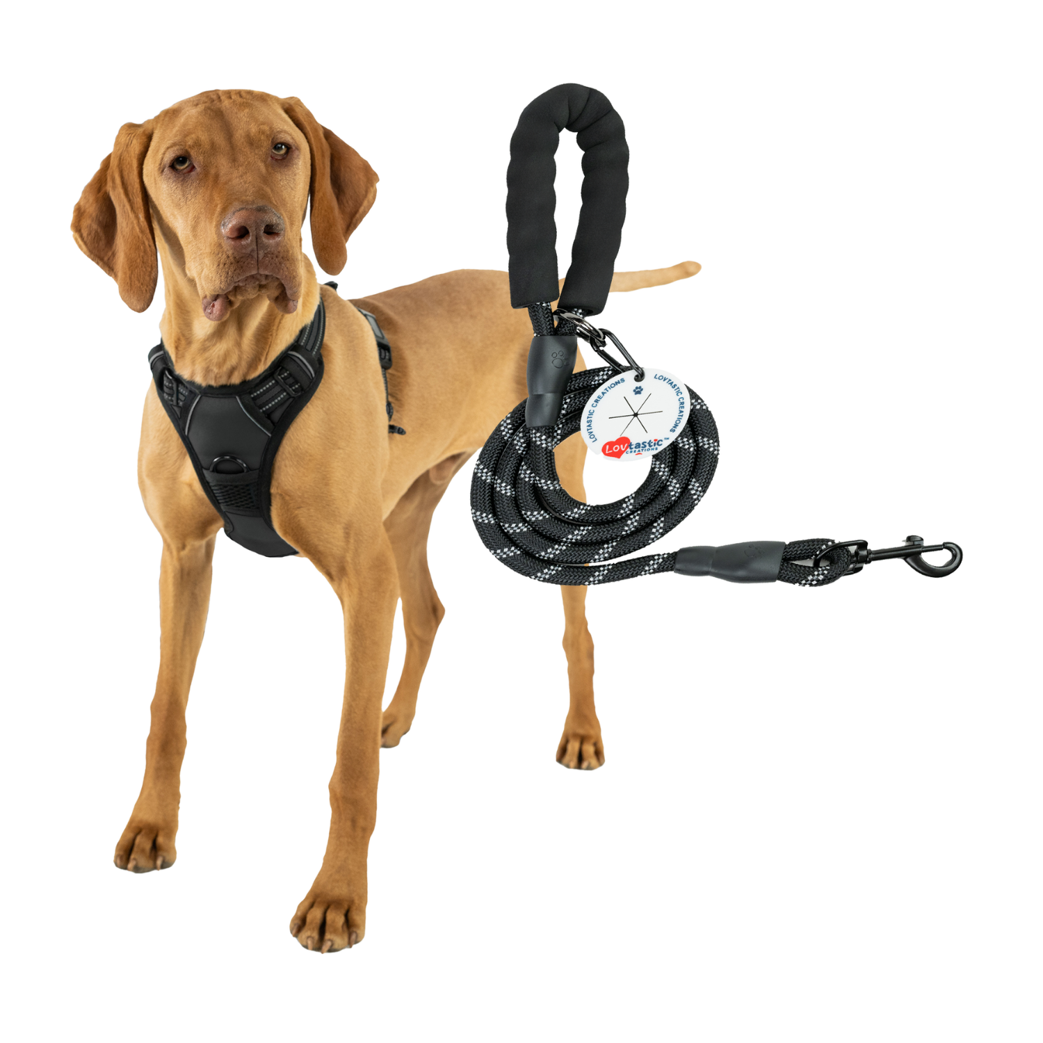 Lovtastic Creations™ No-Pull Dog Harness - w/Strong-Durable Dog Leash & Poopbag Holder