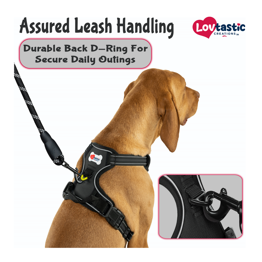 Lovtastic Creations™ No-Pull Dog Harness - w/Strong-Durable Dog Leash & Poopbag Holder