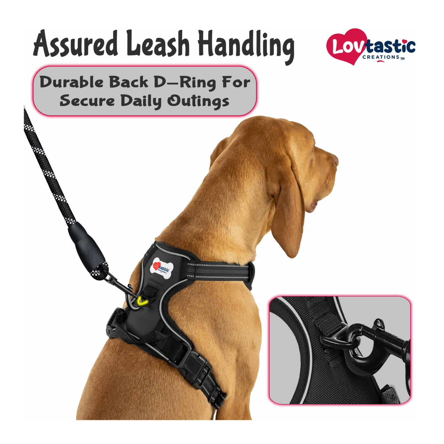 Lovtastic Creations™ No-Pull Dog Harness - w/Strong-Durable Dog Leash & Poopbag Holder