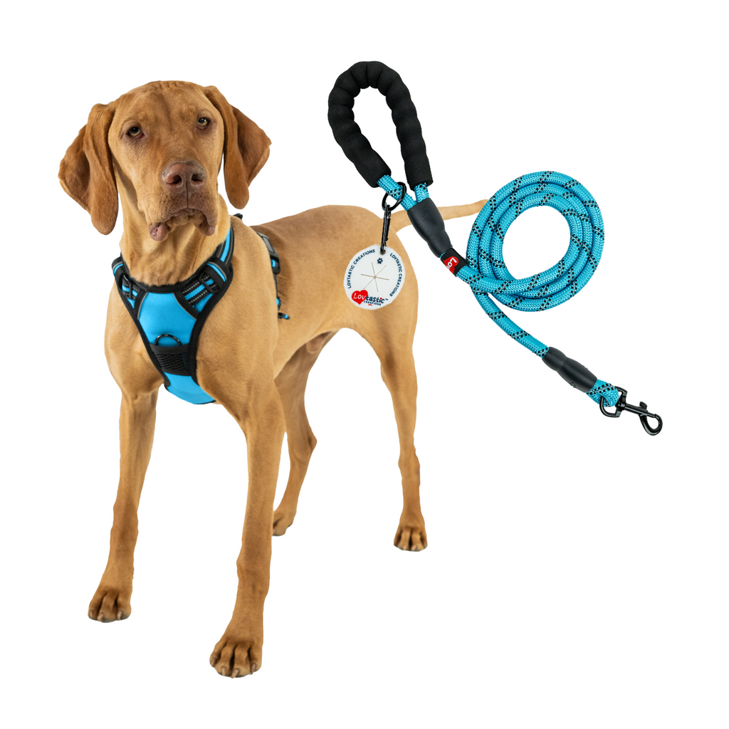 Lovtastic Creations™ No-Pull Dog Harness - w/Strong-Durable Dog Leash & Poopbag Holder