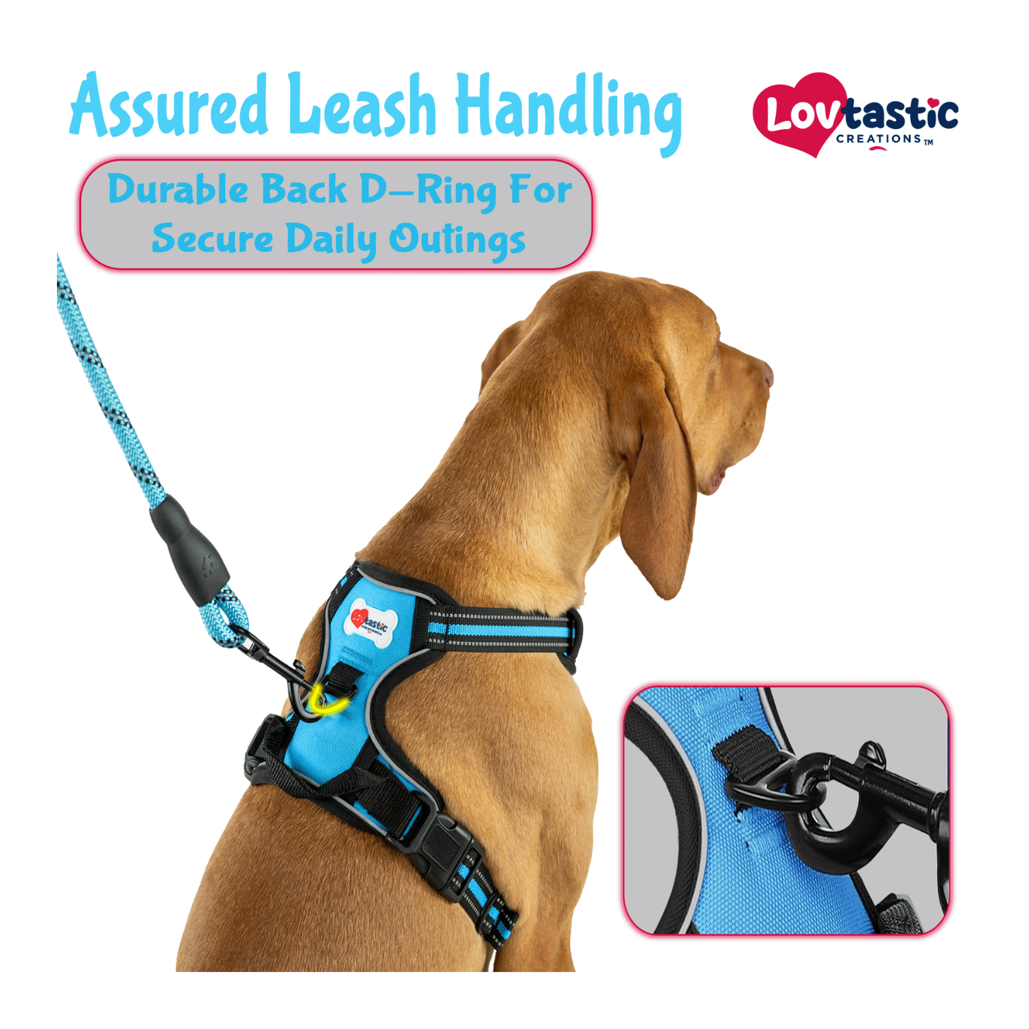 Lovtastic Creations™ No-Pull Dog Harness - w/Strong-Durable Dog Leash & Poopbag Holder