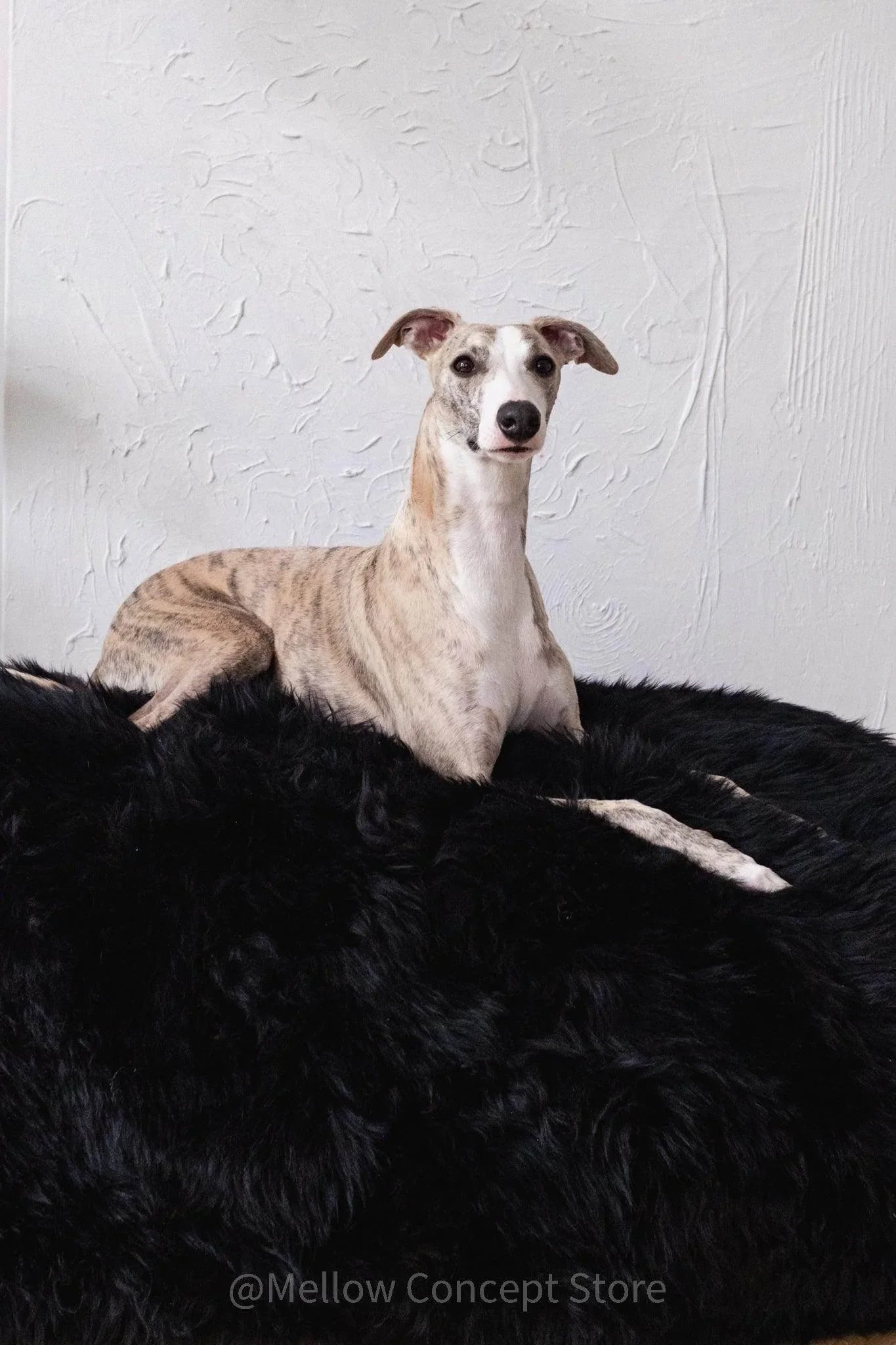 Oval Sheepskin™ Luxury Pet Bed
