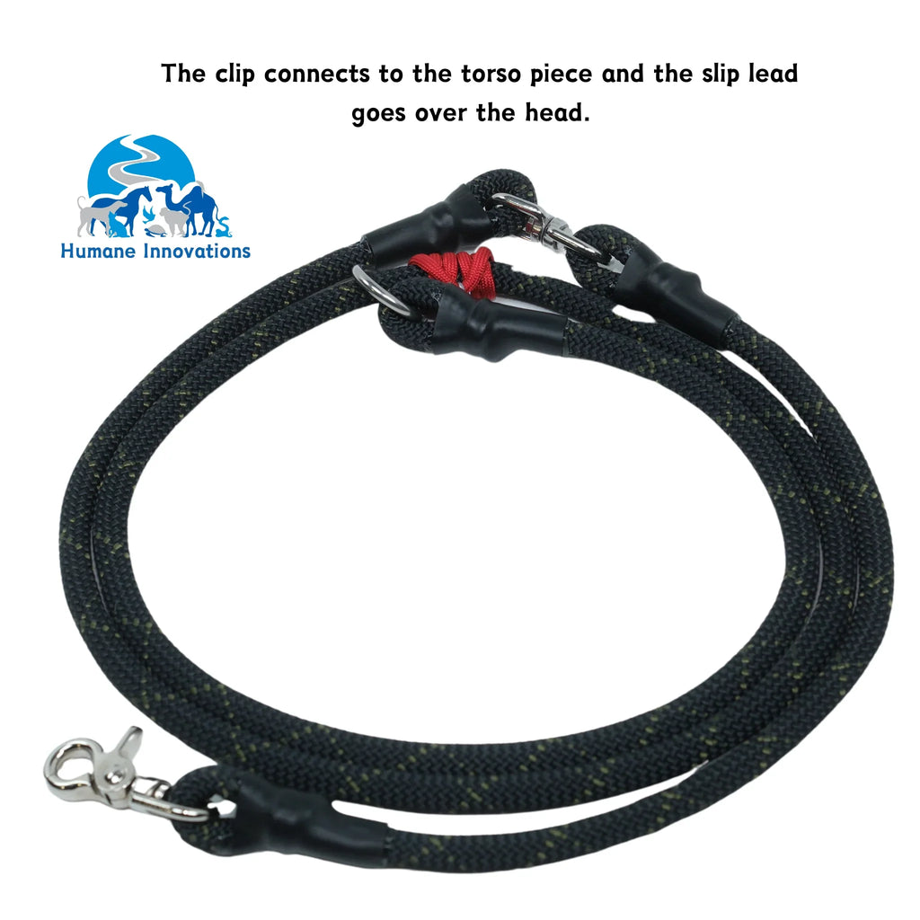Dog Walker Pro Leash, 7'