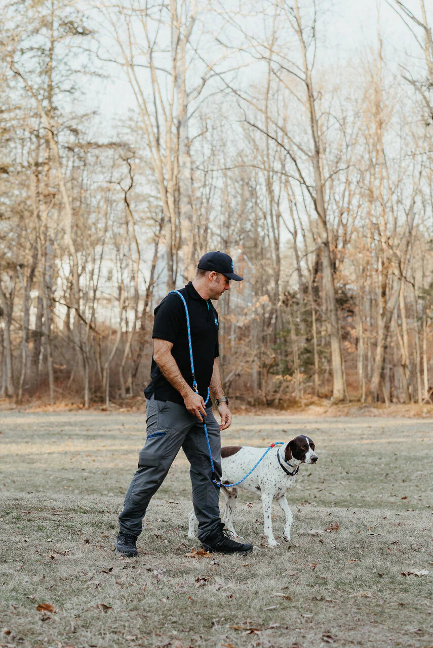 Dog Walker Pro Leash, 7'