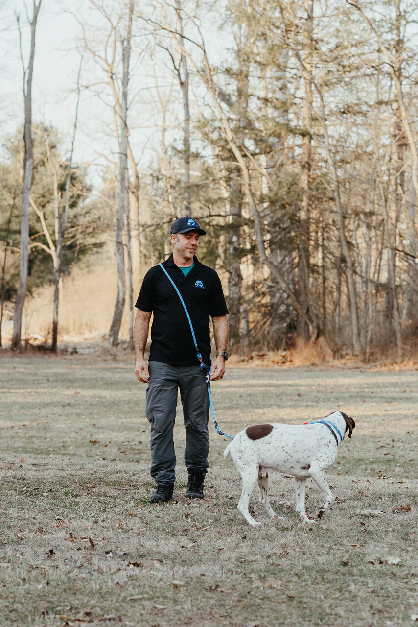 Dog Walker Pro Leash, 7'