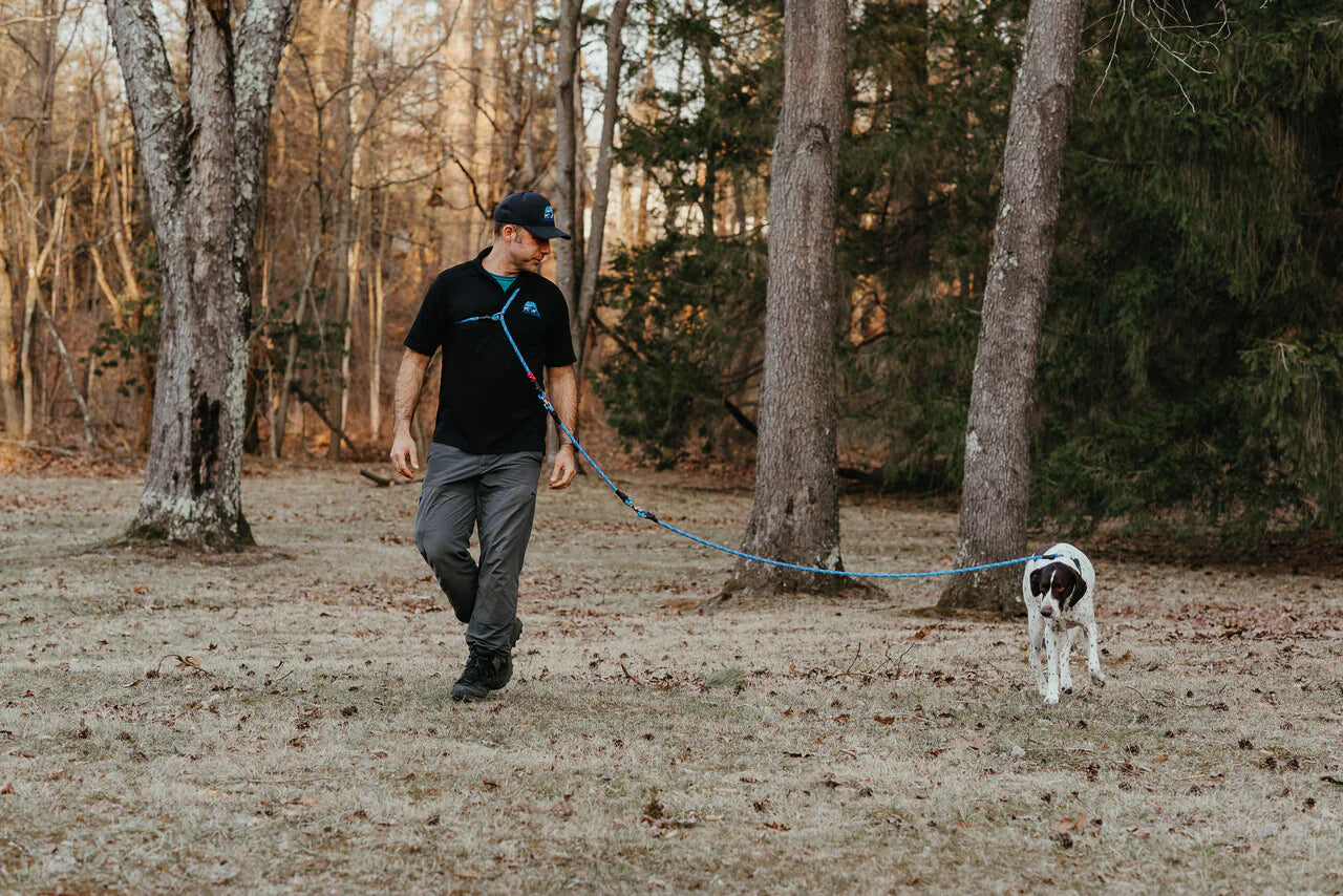 Dog Walker Pro Leash, 7'