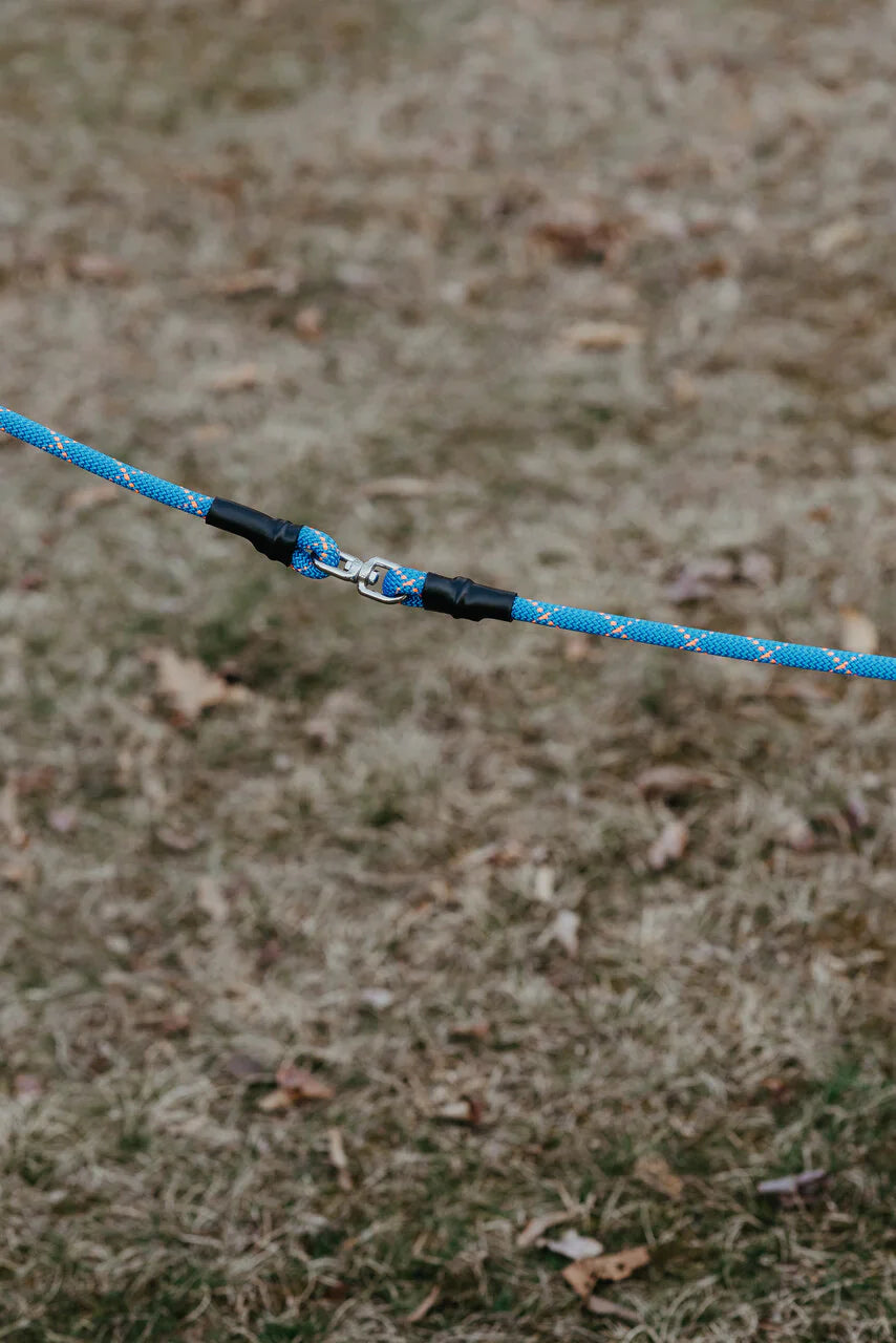 Dog Walker Pro Leash, 7'