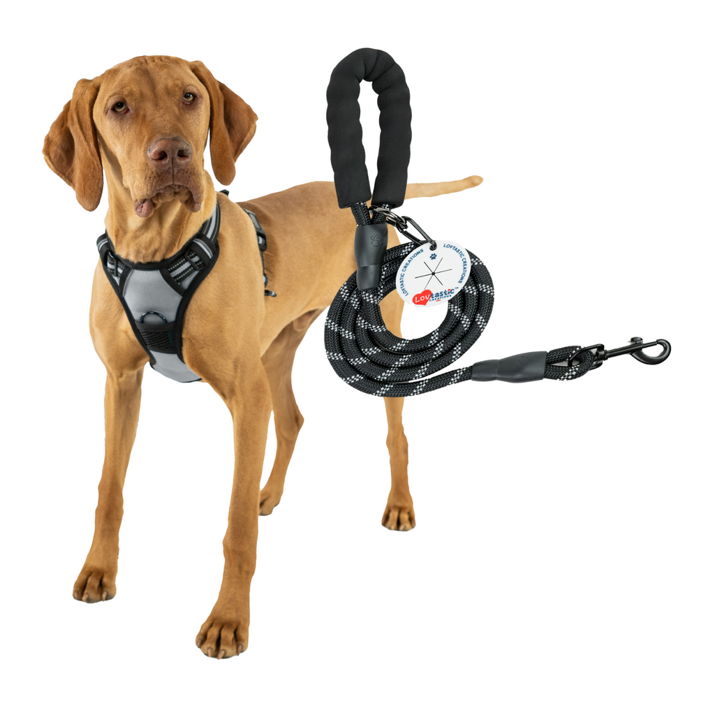Lovtastic Creations™ No-Pull Dog Harness - w/Strong-Durable Dog Leash & Poopbag Holder
