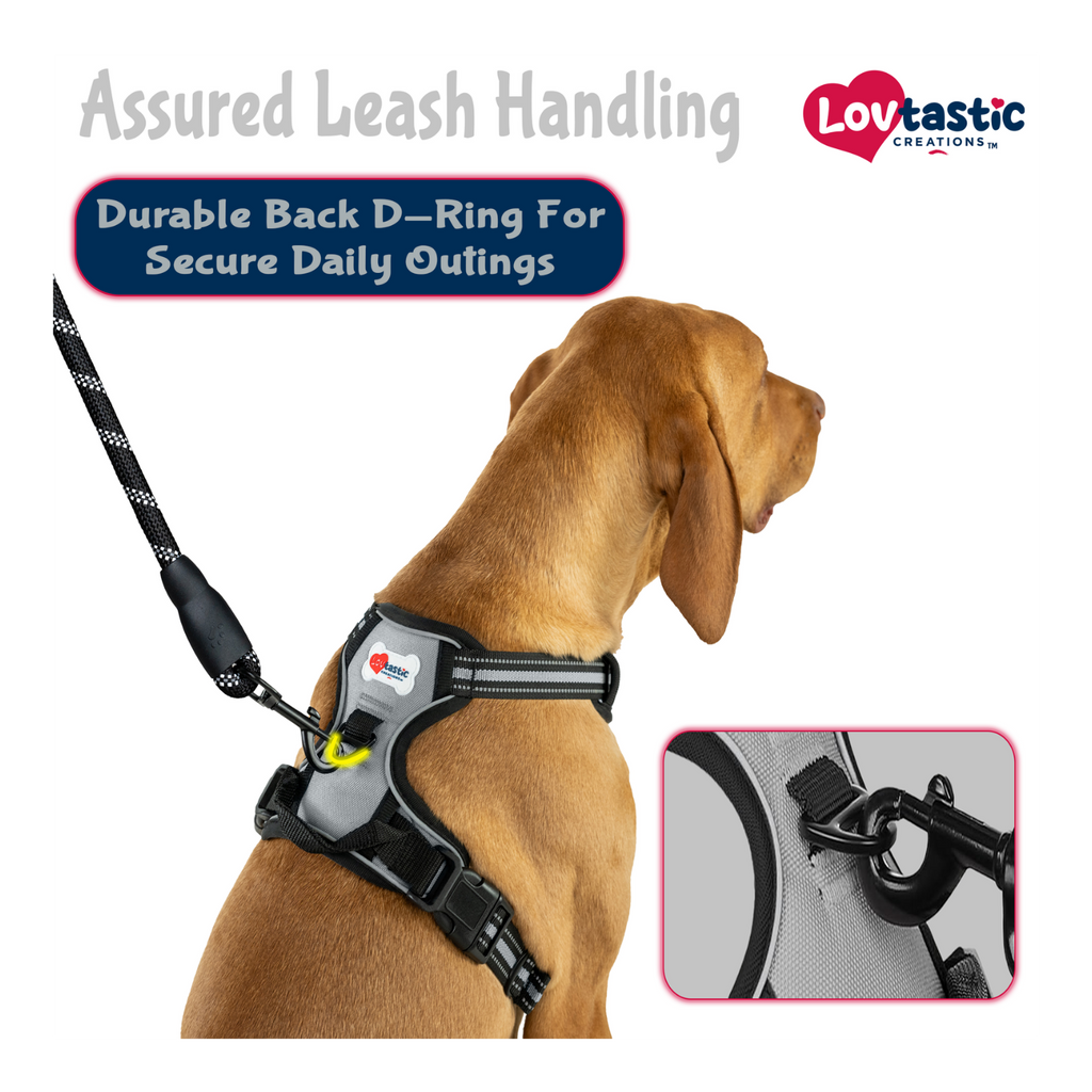 Lovtastic Creations™ No-Pull Dog Harness - w/Strong-Durable Dog Leash & Poopbag Holder