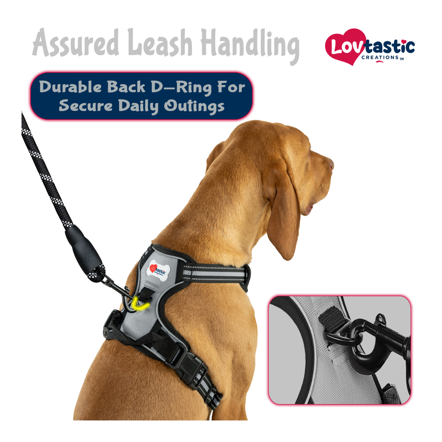 Lovtastic Creations™ No-Pull Dog Harness - w/Strong-Durable Dog Leash & Poopbag Holder