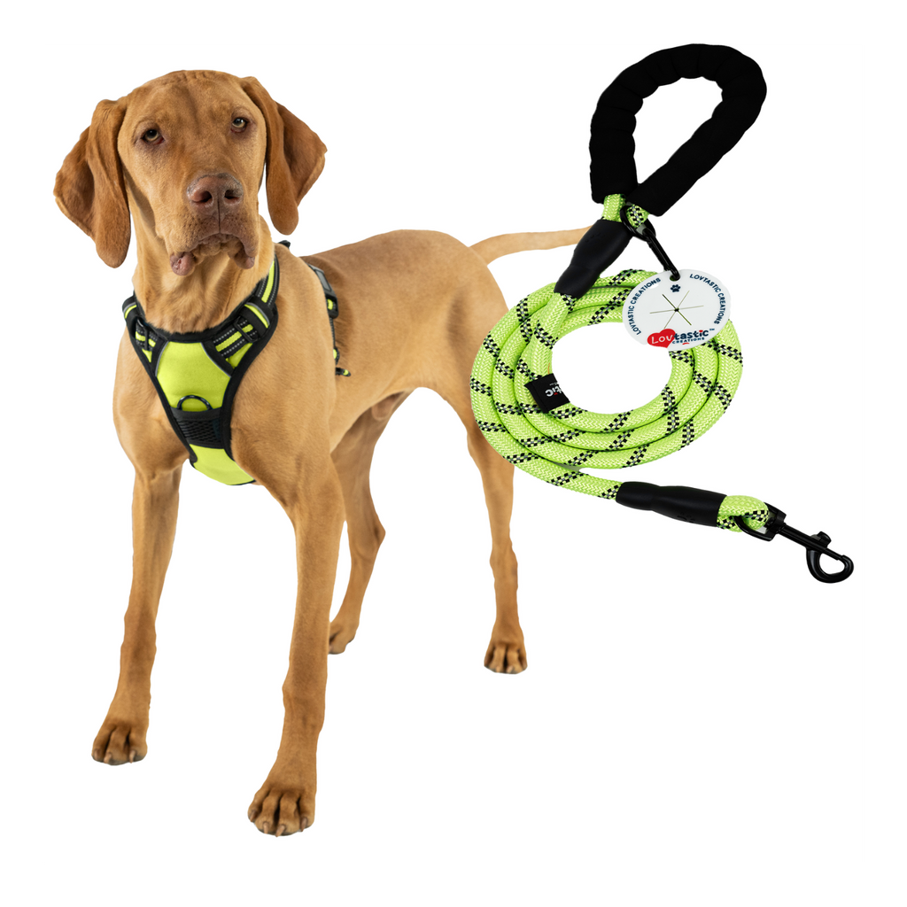 Lovtastic Creations™ No-Pull Dog Harness - w/Strong-Durable Dog Leash & Poopbag Holder