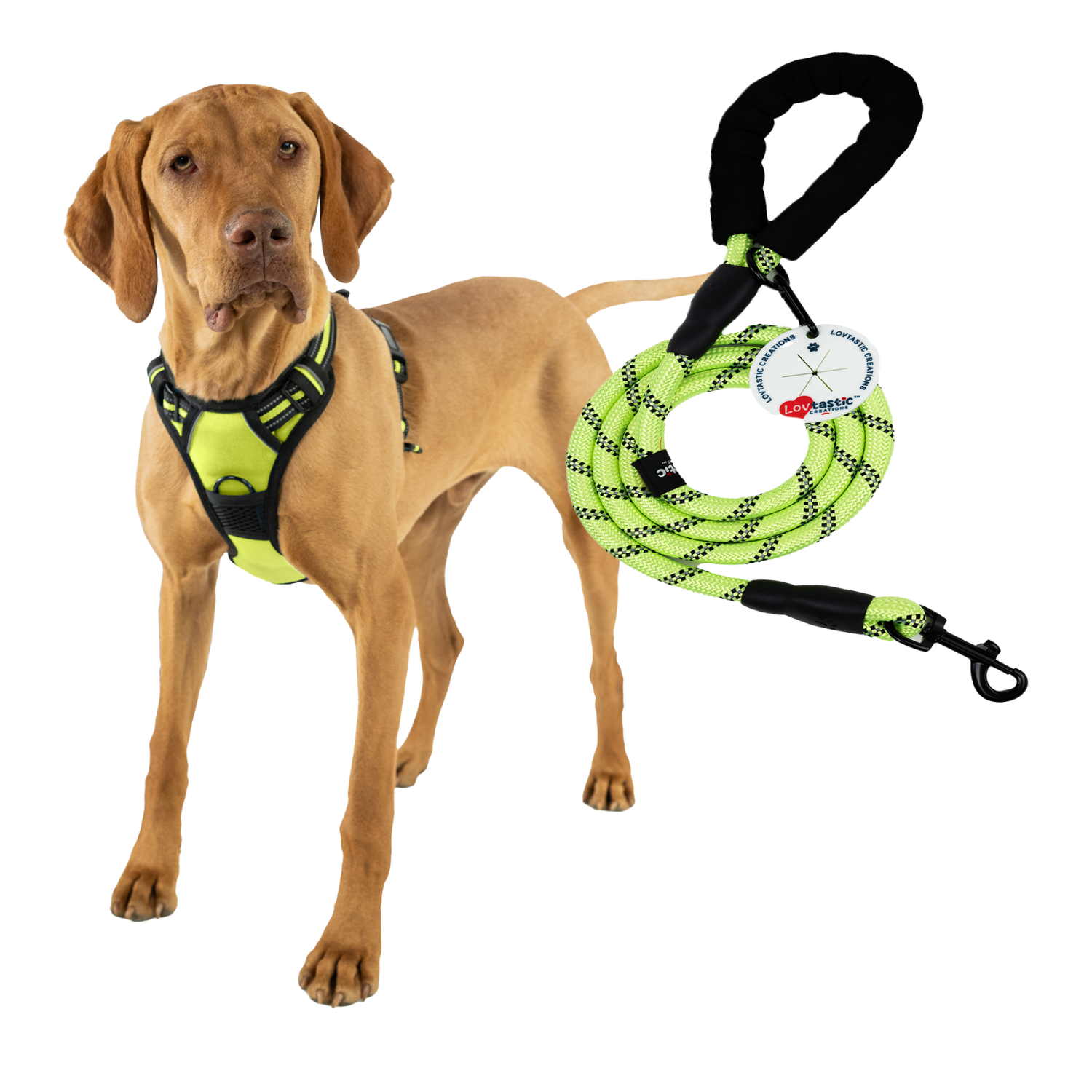 Lovtastic Creations™ No-Pull Dog Harness - w/Strong-Durable Dog Leash & Poopbag Holder