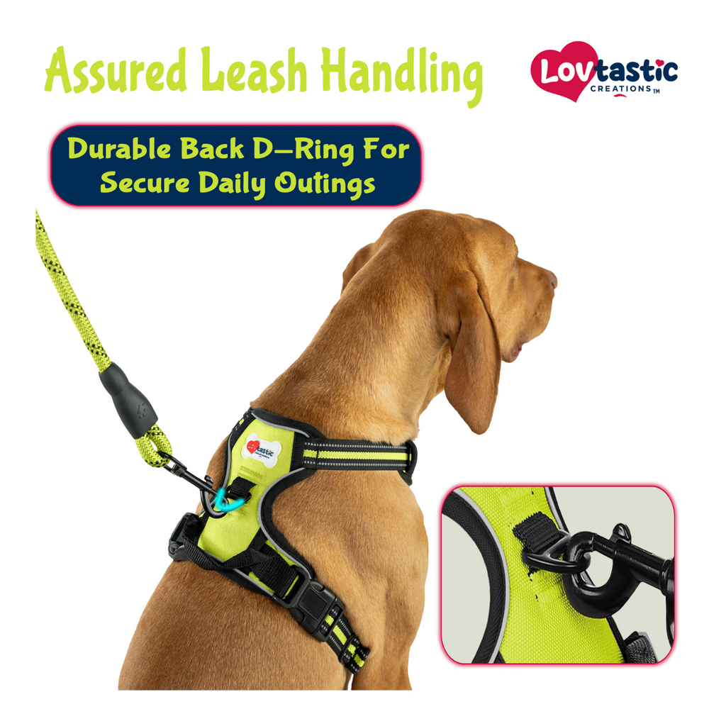 Lovtastic Creations™ No-Pull Dog Harness - w/Strong-Durable Dog Leash & Poopbag Holder