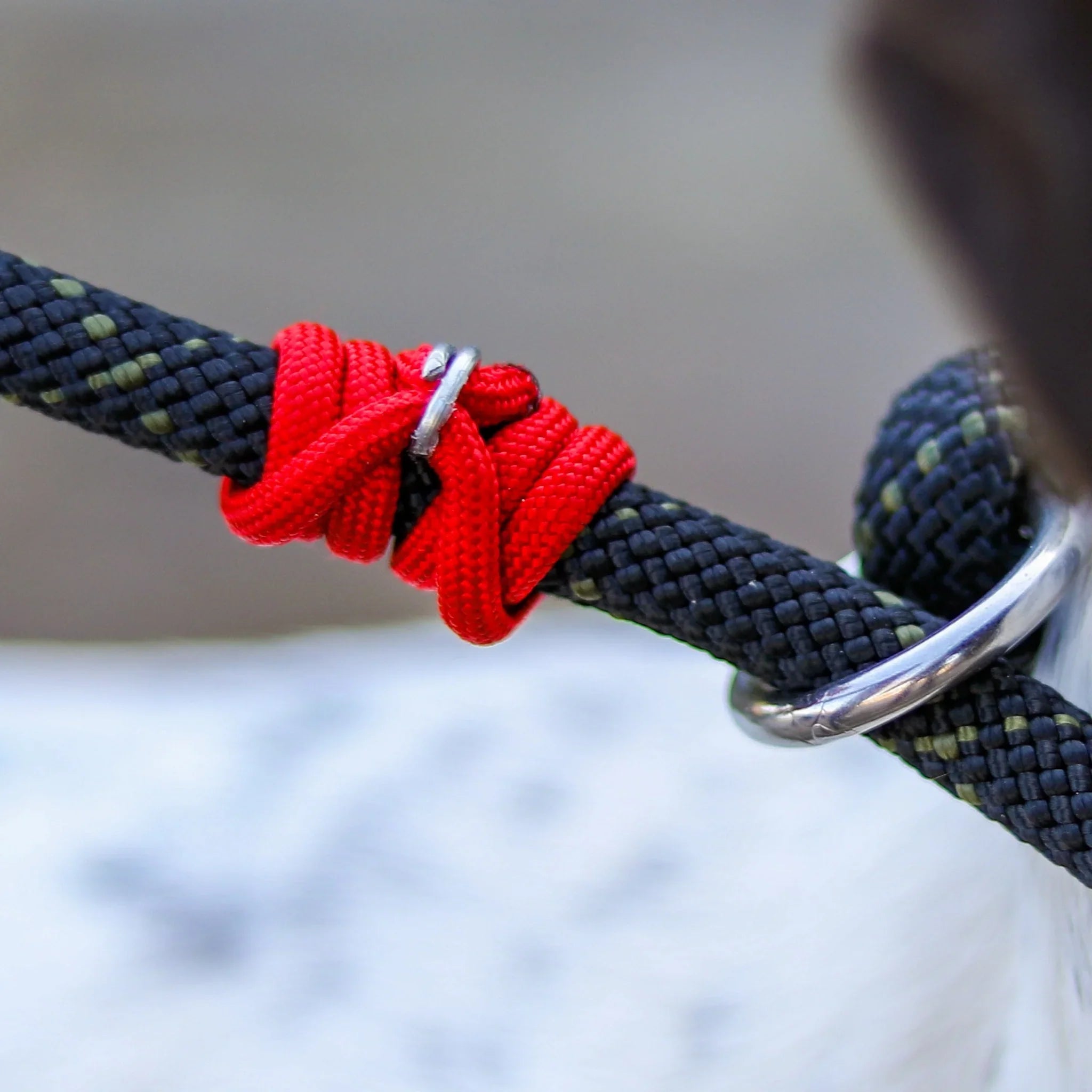 Rope Slip Leash - Large