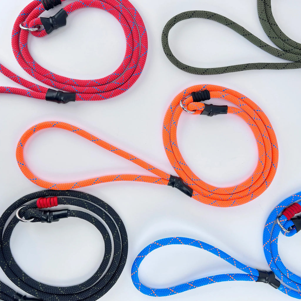 Rope Slip Leash - Large