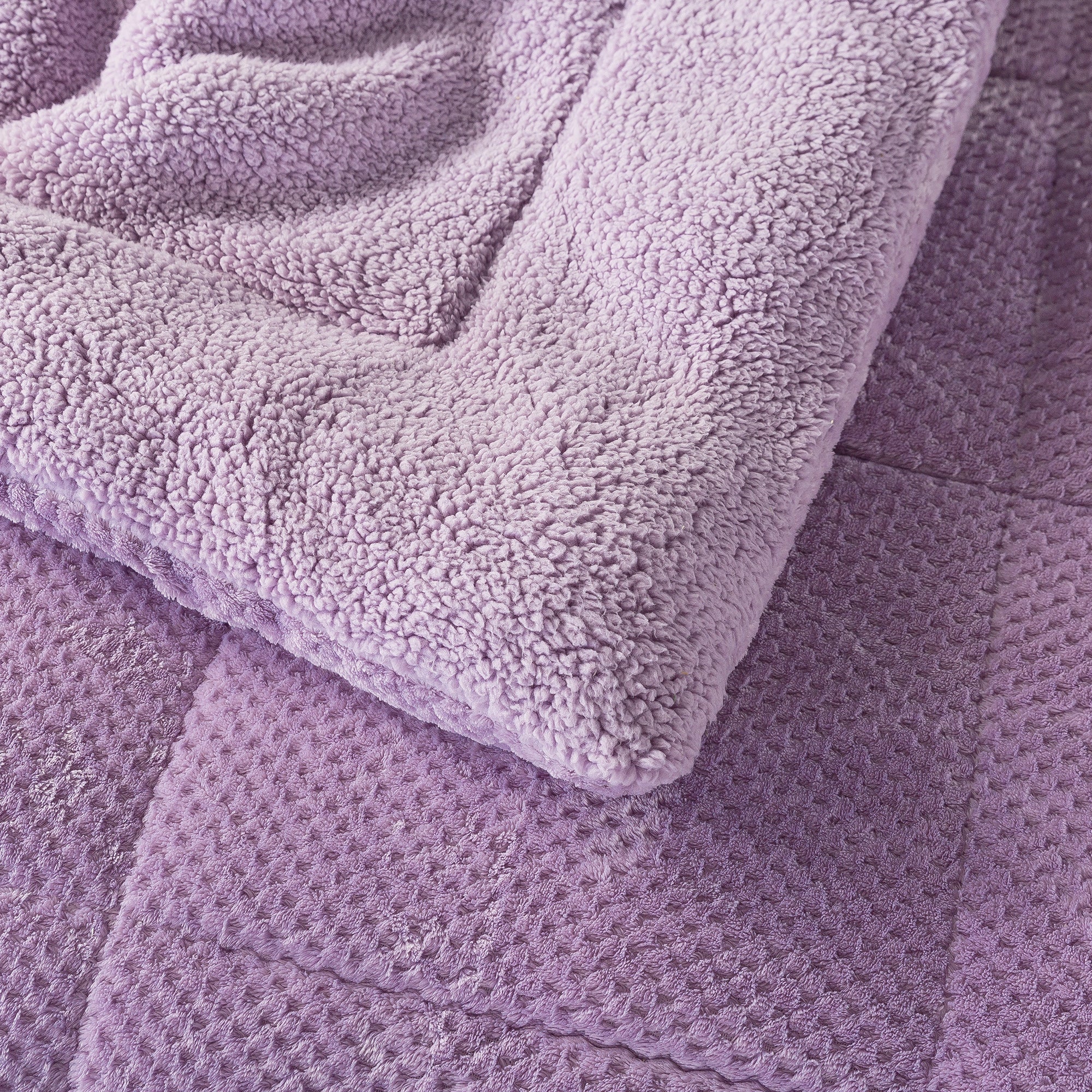 Kasentex Reversible All-Season Plush Comforter Set Twin/Queen/King - Warm Plush Bedding