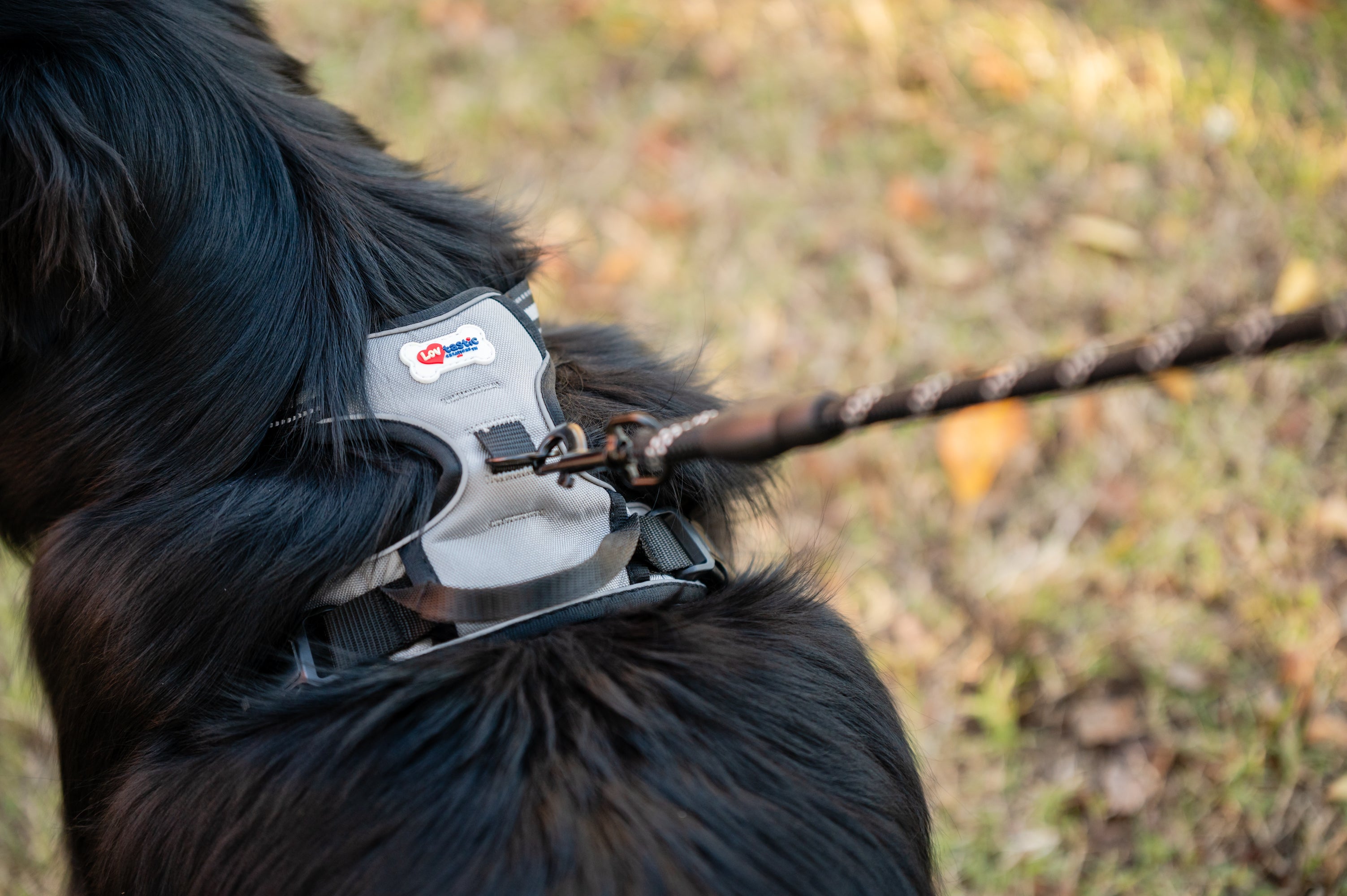 Lovtastic Creations™ No-Pull Dog Harness - w/Strong-Durable Dog Leash & Poopbag Holder