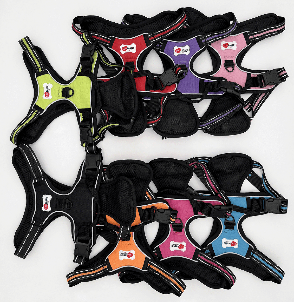 Lovtastic Creations™ No-Pull Dog Harness - w/Strong-Durable Dog Leash & Poopbag Holder