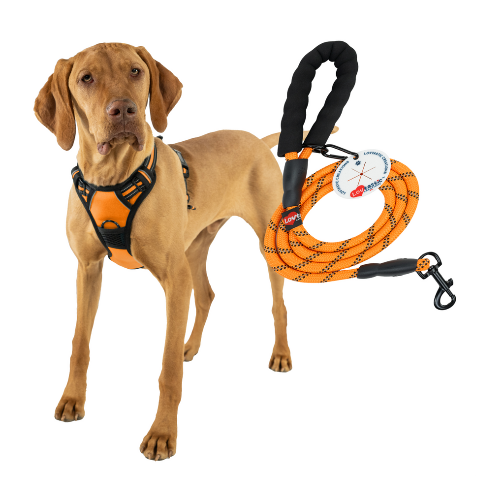 Lovtastic Creations™ No-Pull Dog Harness - w/Strong-Durable Dog Leash & Poopbag Holder