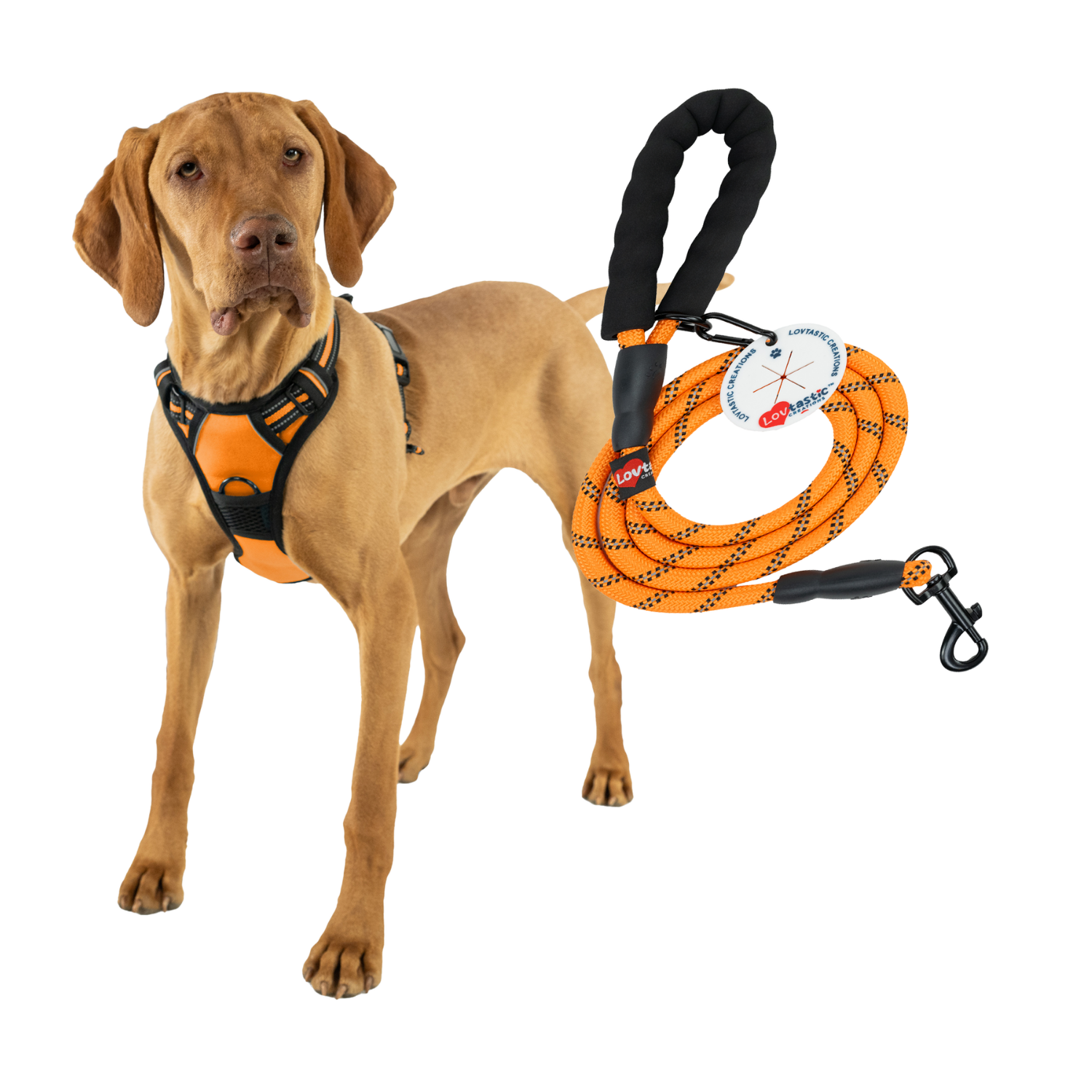 Lovtastic Creations™ No-Pull Dog Harness - w/Strong-Durable Dog Leash & Poopbag Holder