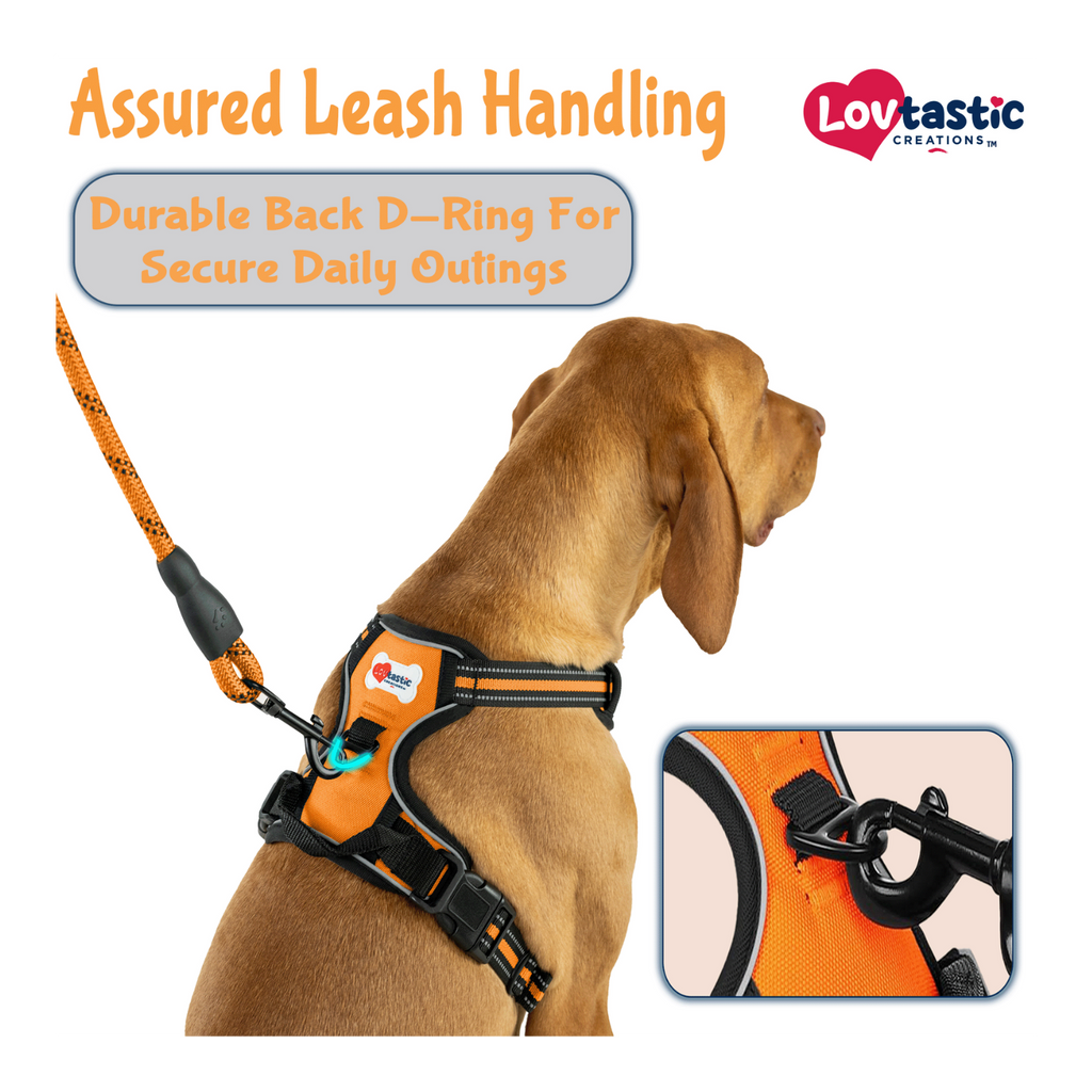 Lovtastic Creations™ No-Pull Dog Harness - w/Strong-Durable Dog Leash & Poopbag Holder
