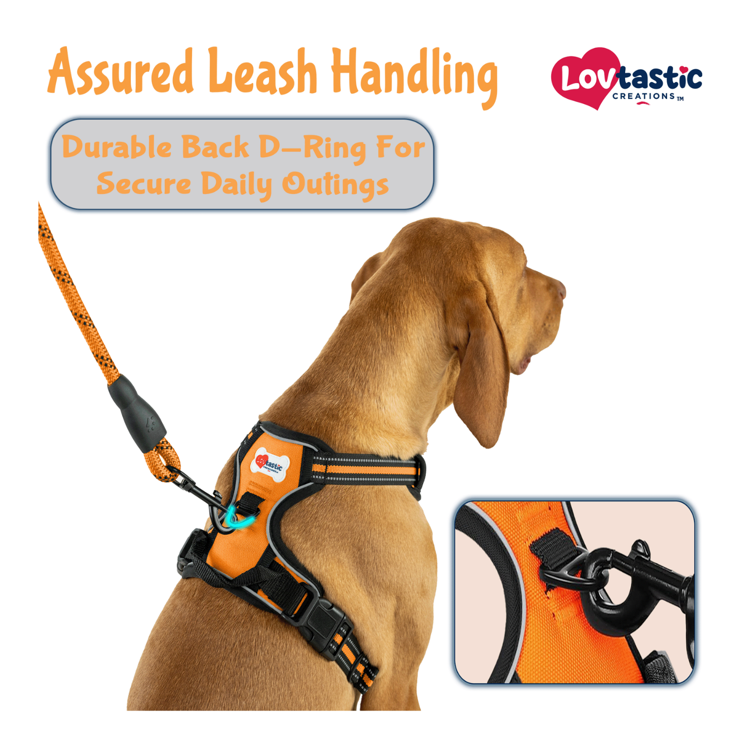 Lovtastic Creations™ No-Pull Dog Harness - w/Strong-Durable Dog Leash & Poopbag Holder