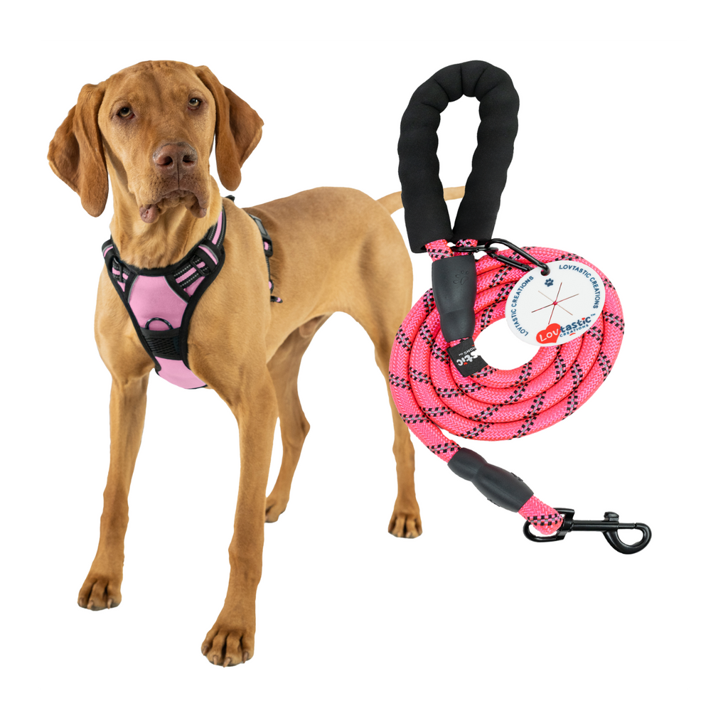 Lovtastic Creations™ No-Pull Dog Harness - w/Strong-Durable Dog Leash & Poopbag Holder
