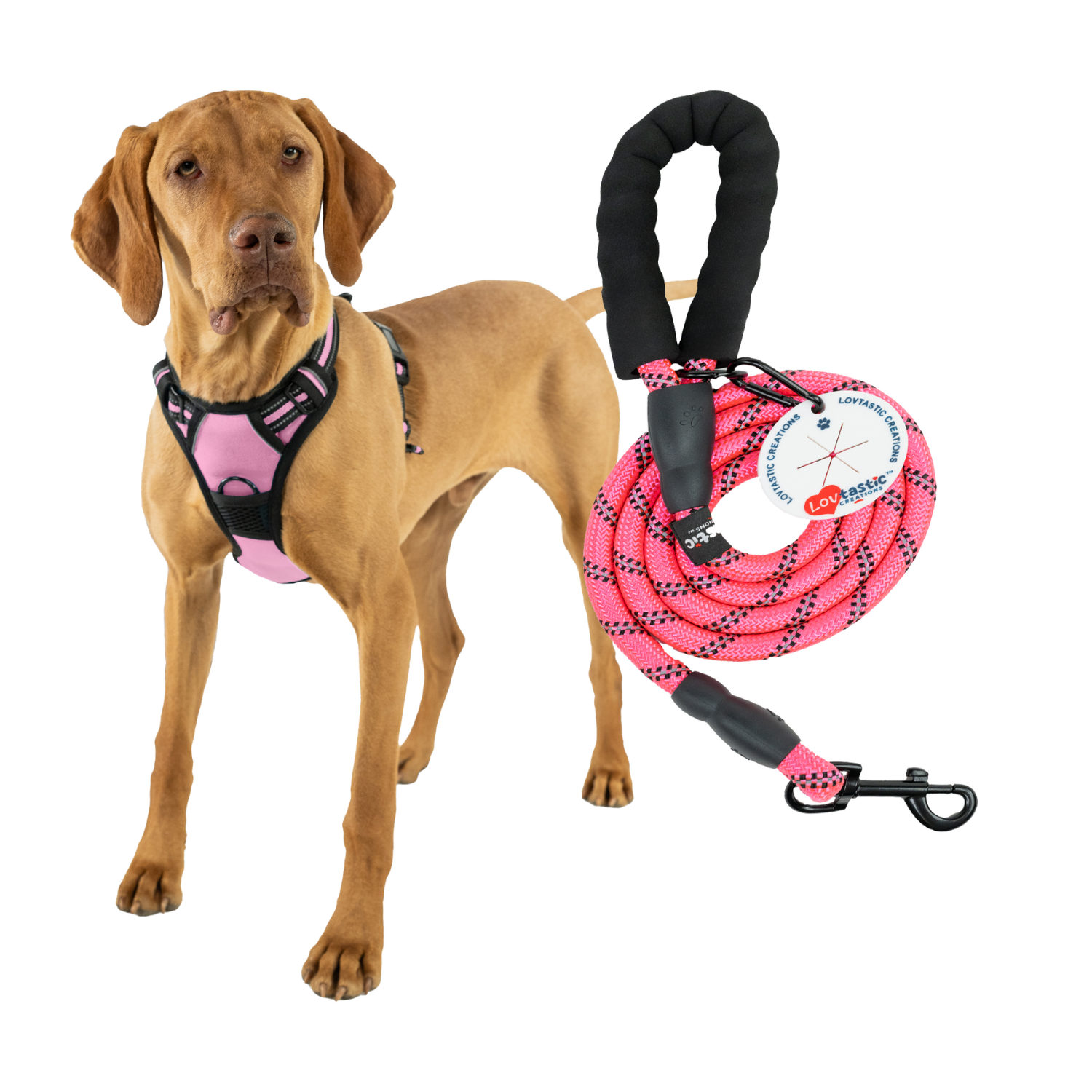 Lovtastic Creations™ No-Pull Dog Harness - w/Strong-Durable Dog Leash & Poopbag Holder