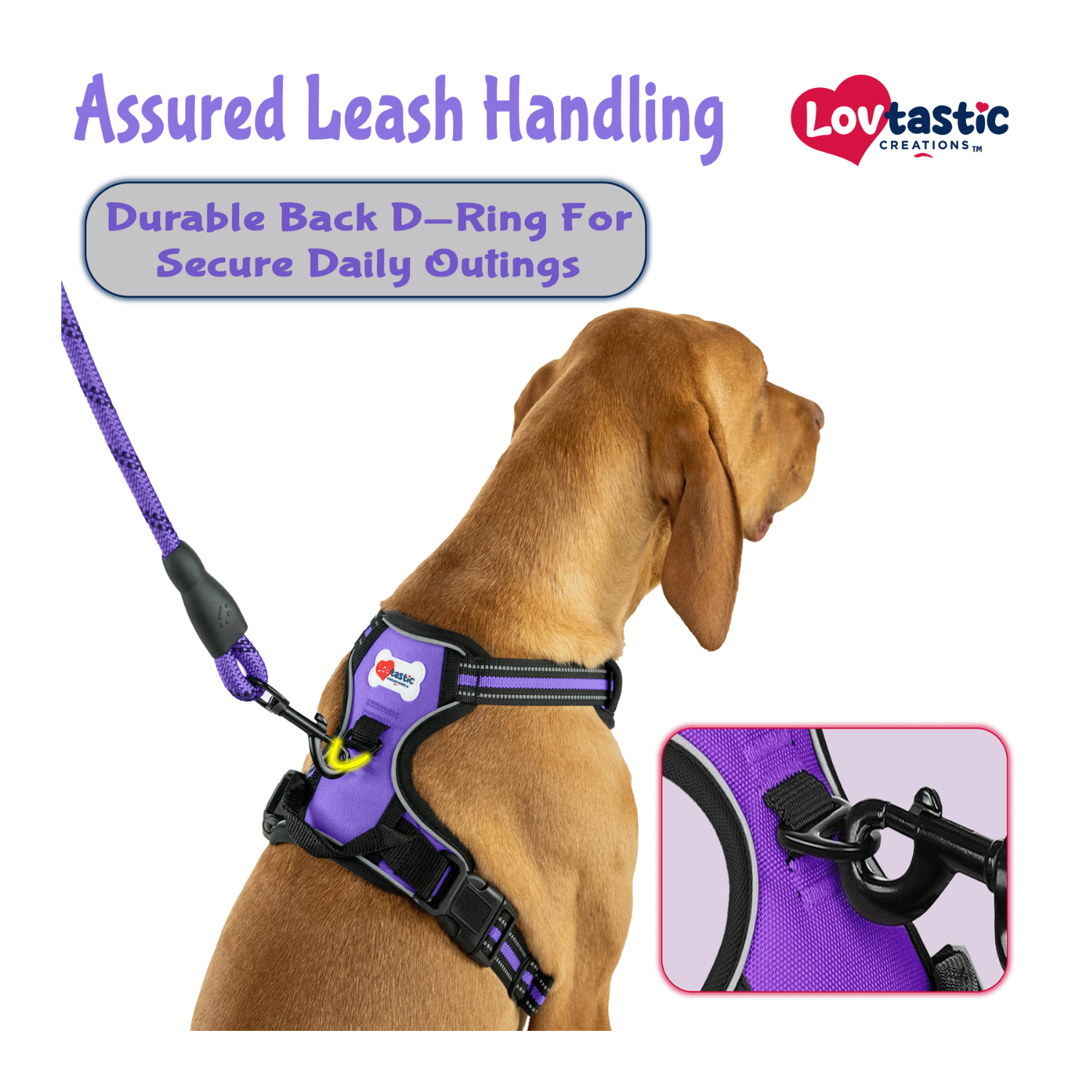 Lovtastic Creations™ No-Pull Dog Harness - w/Strong-Durable Dog Leash & Poopbag Holder
