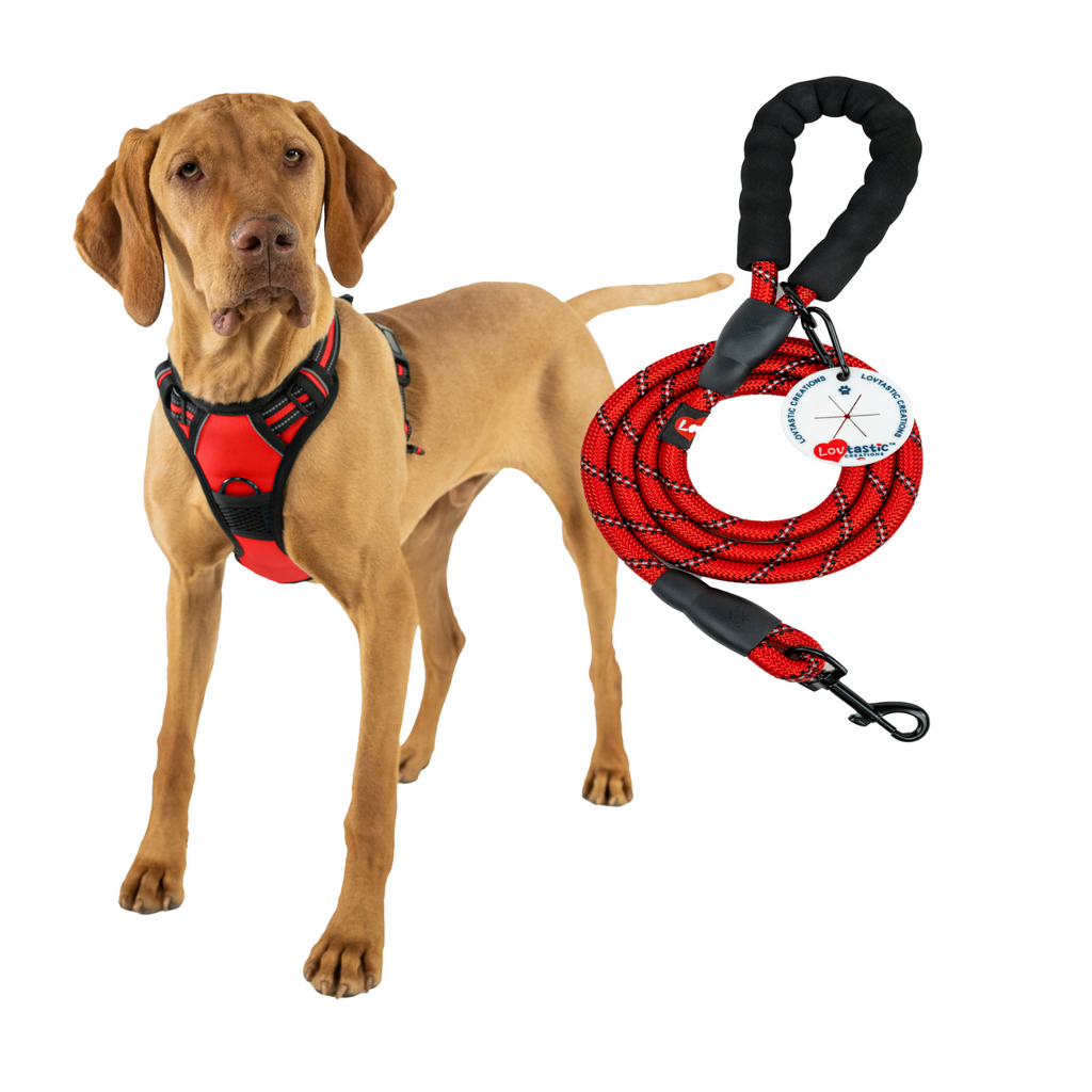 Lovtastic Creations™ No-Pull Dog Harness - w/Strong-Durable Dog Leash & Poopbag Holder