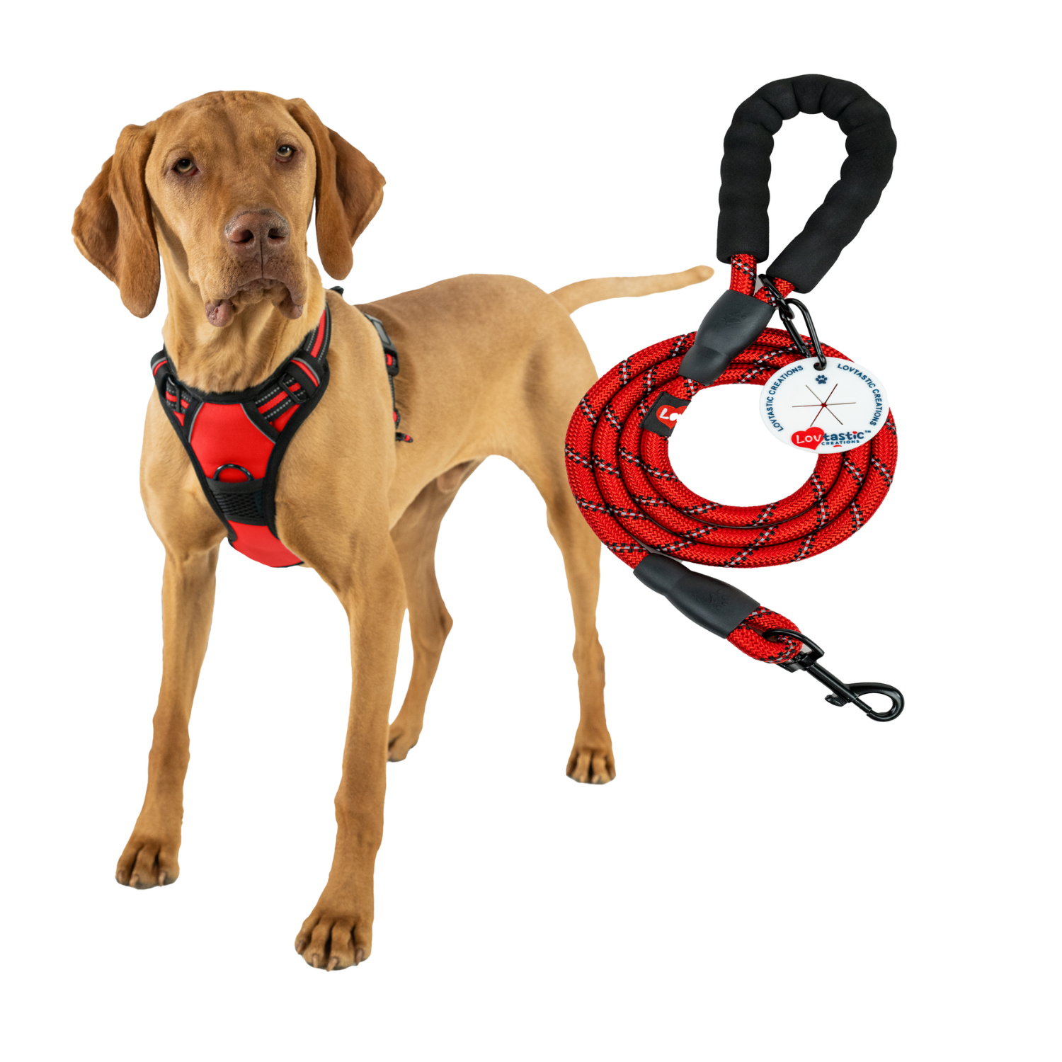 Lovtastic Creations™ No-Pull Dog Harness - w/Strong-Durable Dog Leash & Poopbag Holder