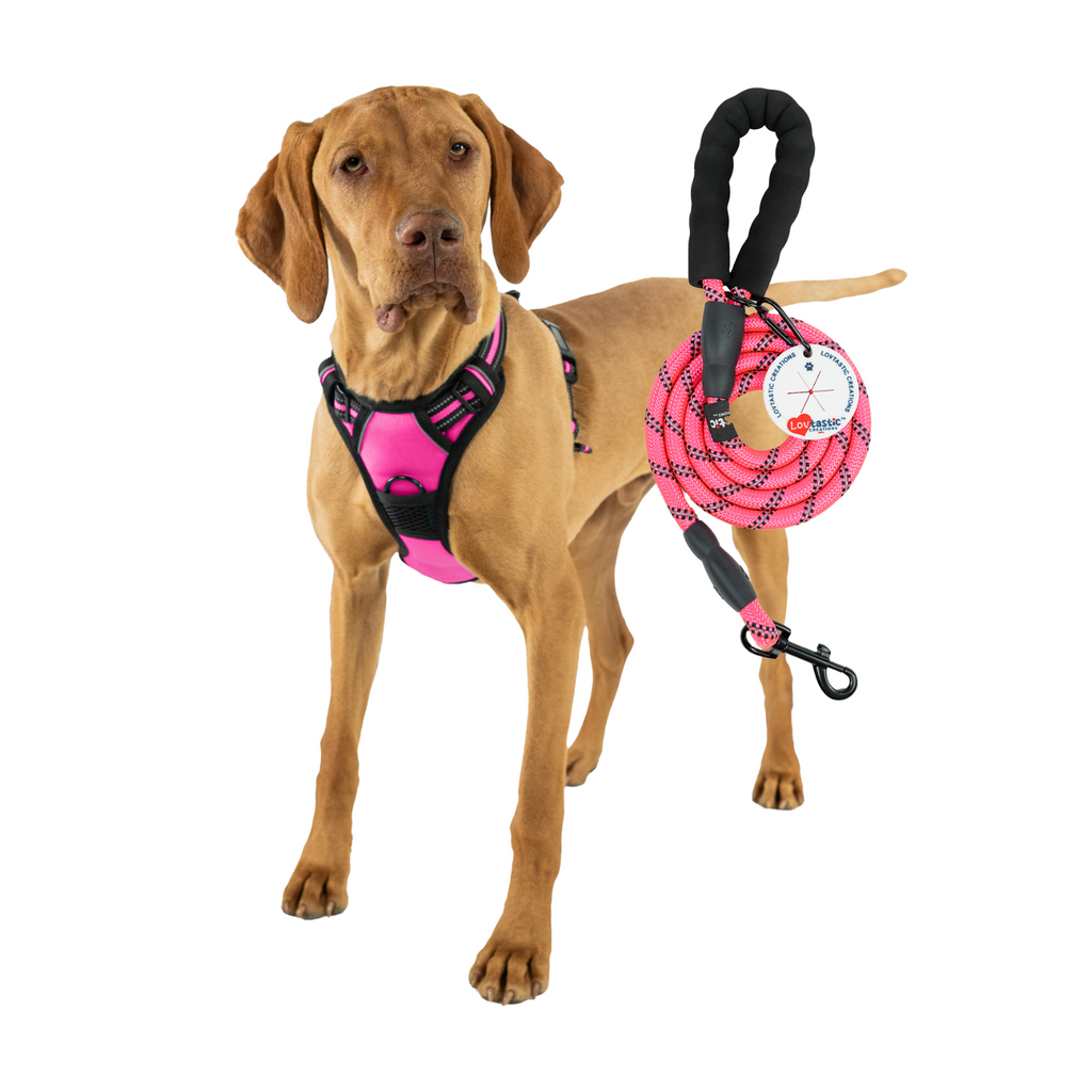 Lovtastic Creations™ No-Pull Dog Harness - w/Strong-Durable Dog Leash & Poopbag Holder