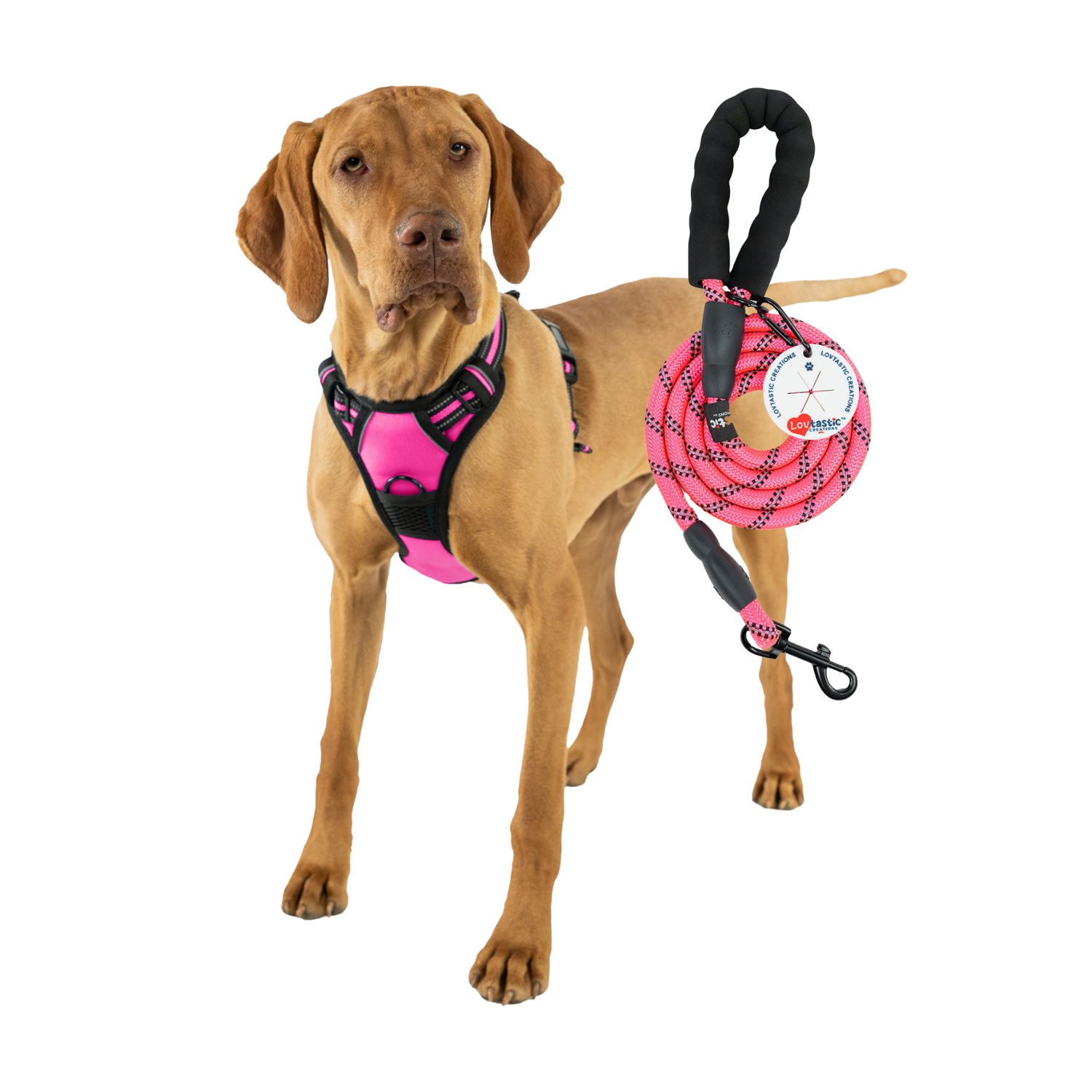 Lovtastic Creations™ No-Pull Dog Harness - w/Strong-Durable Dog Leash & Poopbag Holder