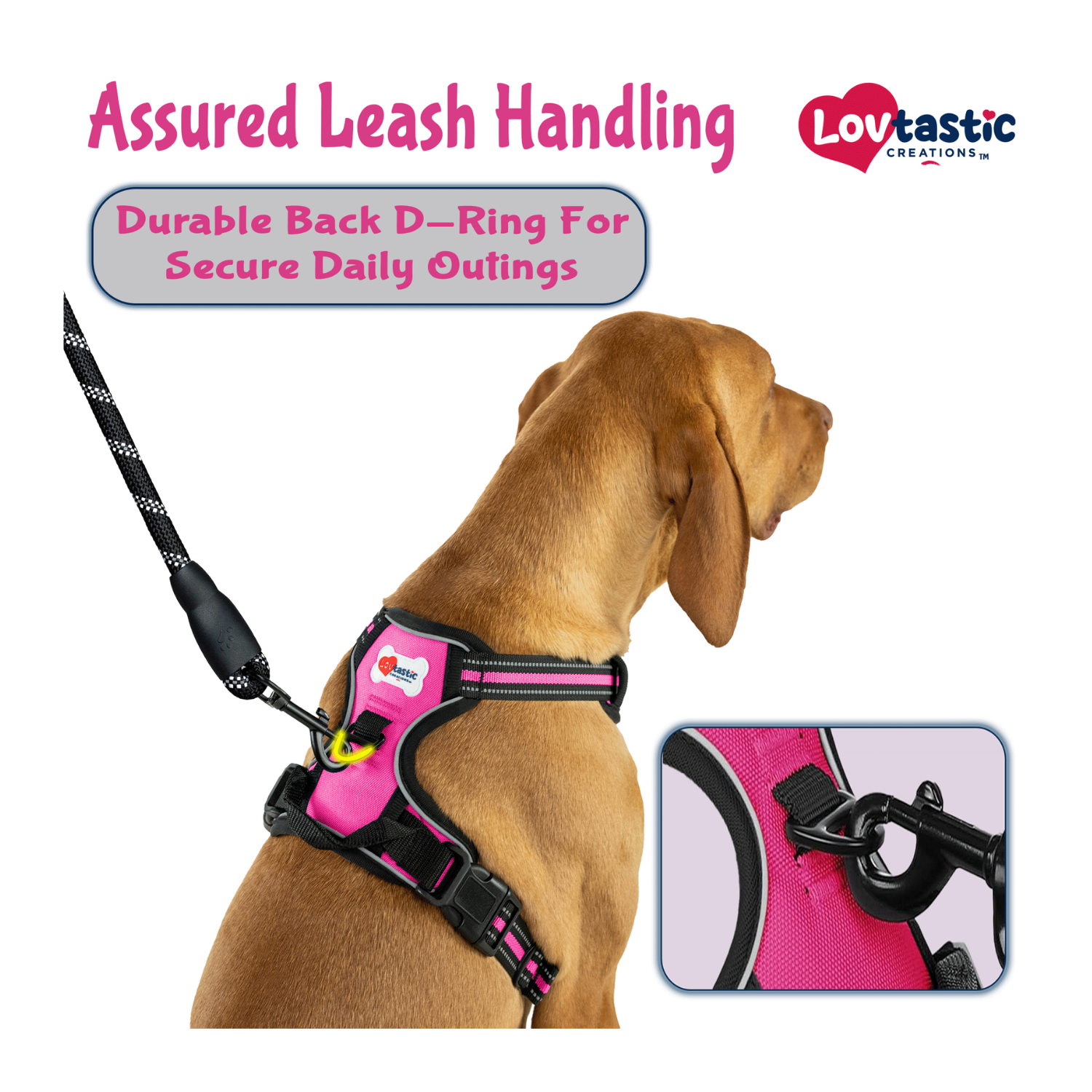 Lovtastic Creations™ No-Pull Dog Harness - w/Strong-Durable Dog Leash & Poopbag Holder