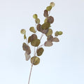 Artificial Eucalyptus Flower Plant Leaf Long Branch  Home Bedroom Wall Decoration