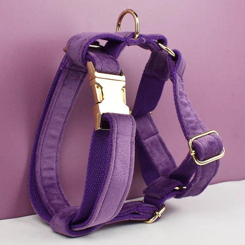 Velvet Purple Set