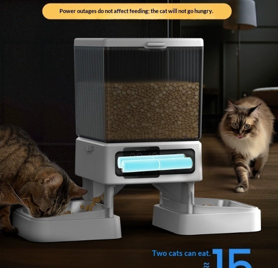 Automatic Cat Feeder With Dual Bowls Visual Timer-Controlled Portion