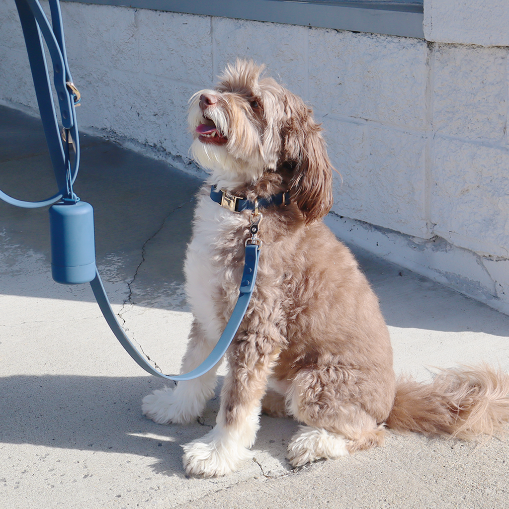 Waterproof Dog Collar | Blue
