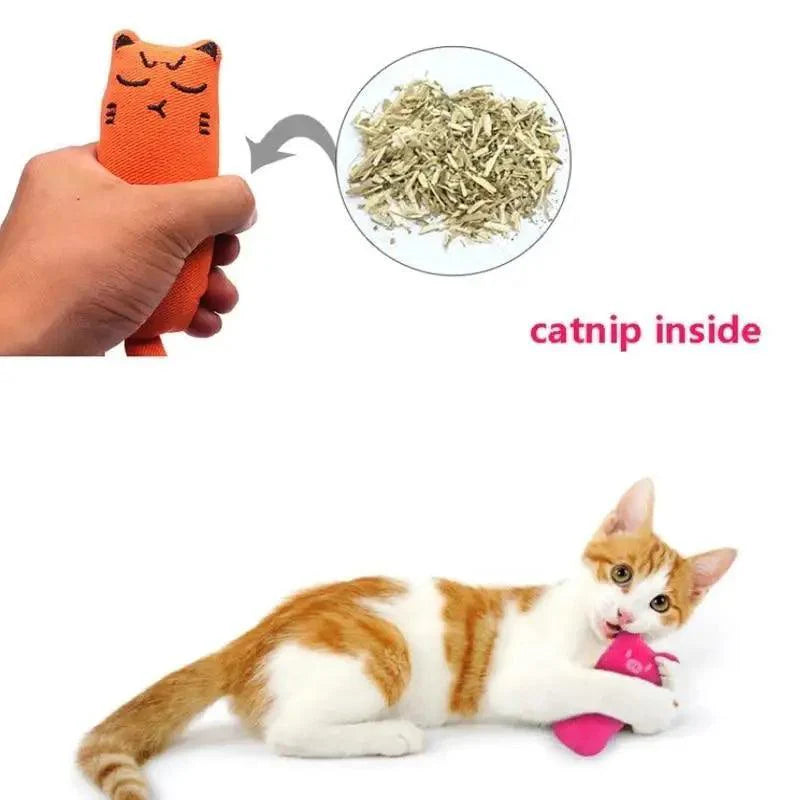Funny Colorful Teeth Grinding Catnip Toys Cute Kitten Chewing Toy