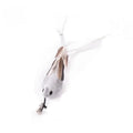Hands-Free Feather Cat Wand w/Bell | Suction Cup Interactive Toy for Hunting and Exercise