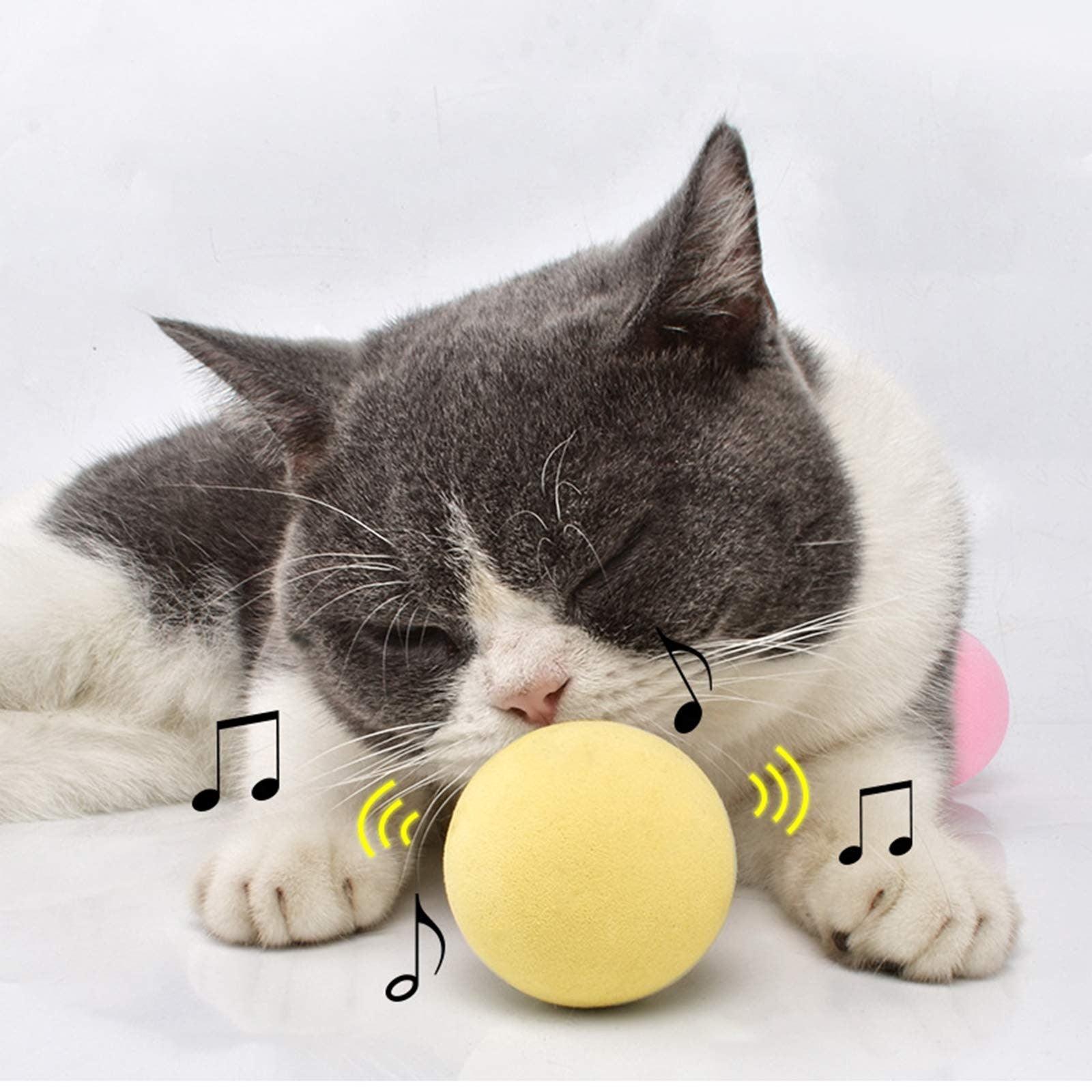 Smart Cat Toys Ball Catnip