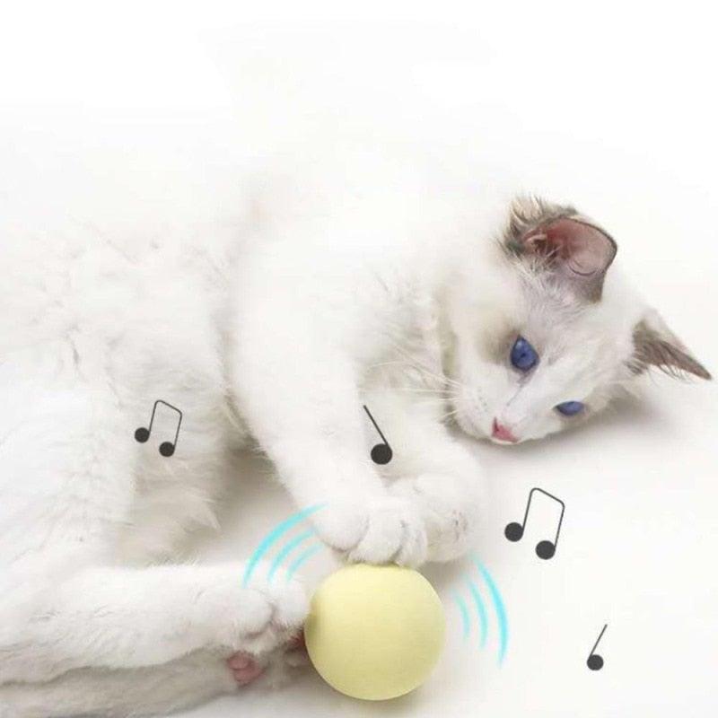 Smart Cat Toys Ball Catnip