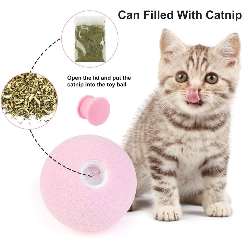 Smart Cat Toys Ball Catnip