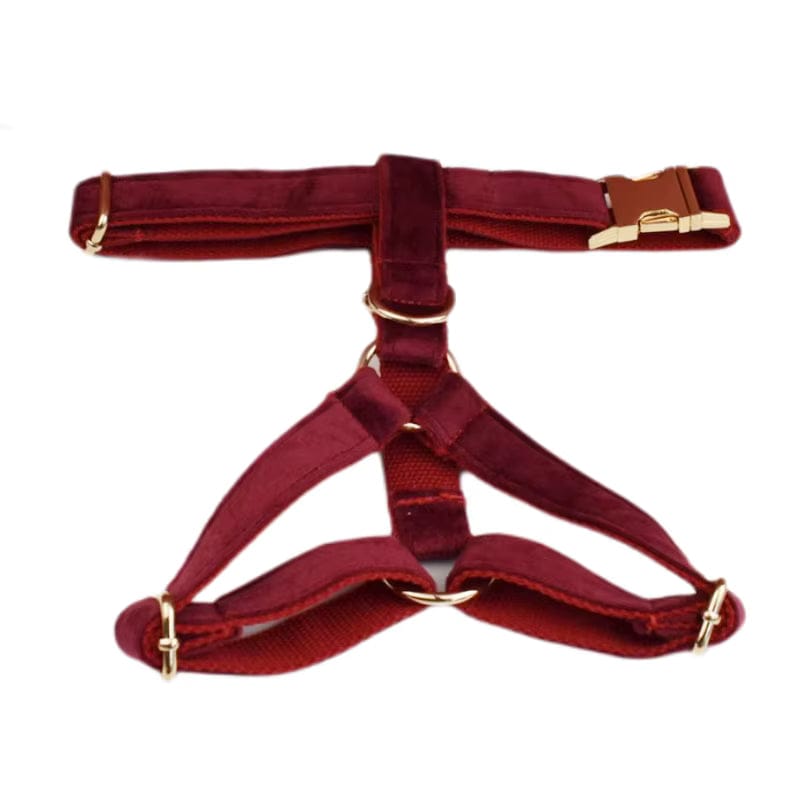 Red Wine Velvet Set
