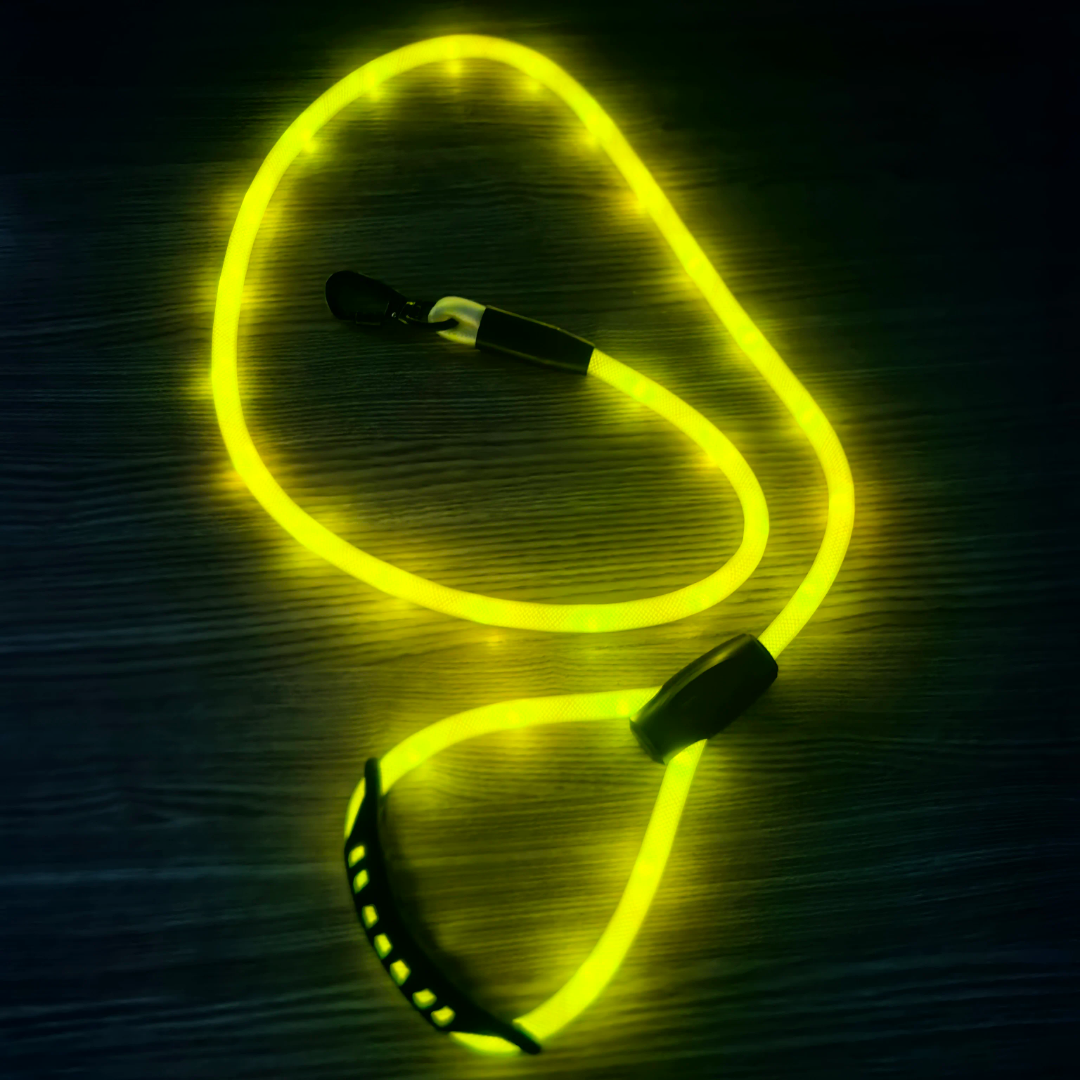 ✨ LIGHT UP RAVE LEASH ✨