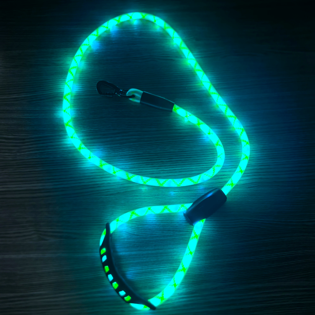 ✨ LIGHT UP RAVE LEASH ✨
